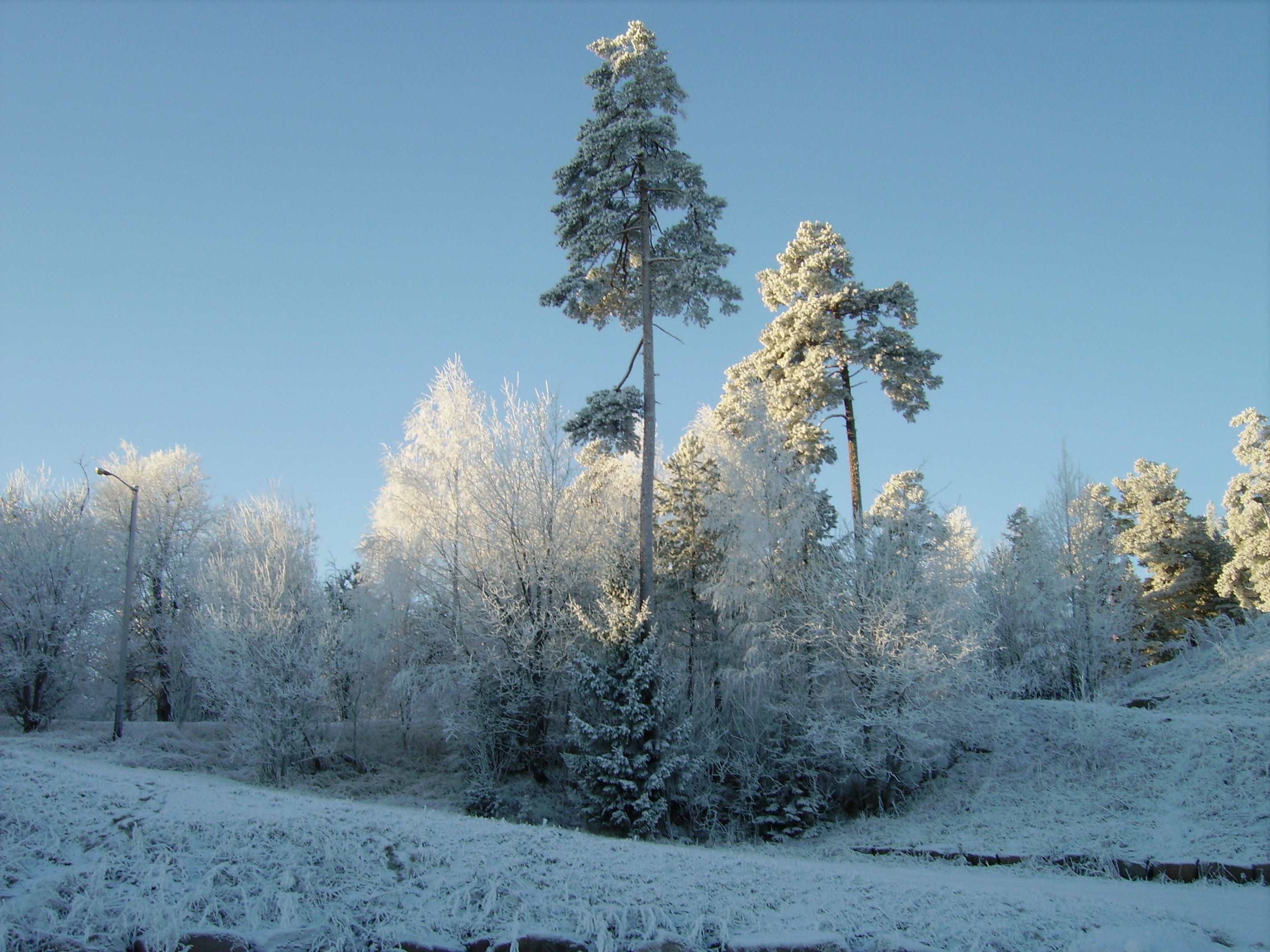 File_040.jpg