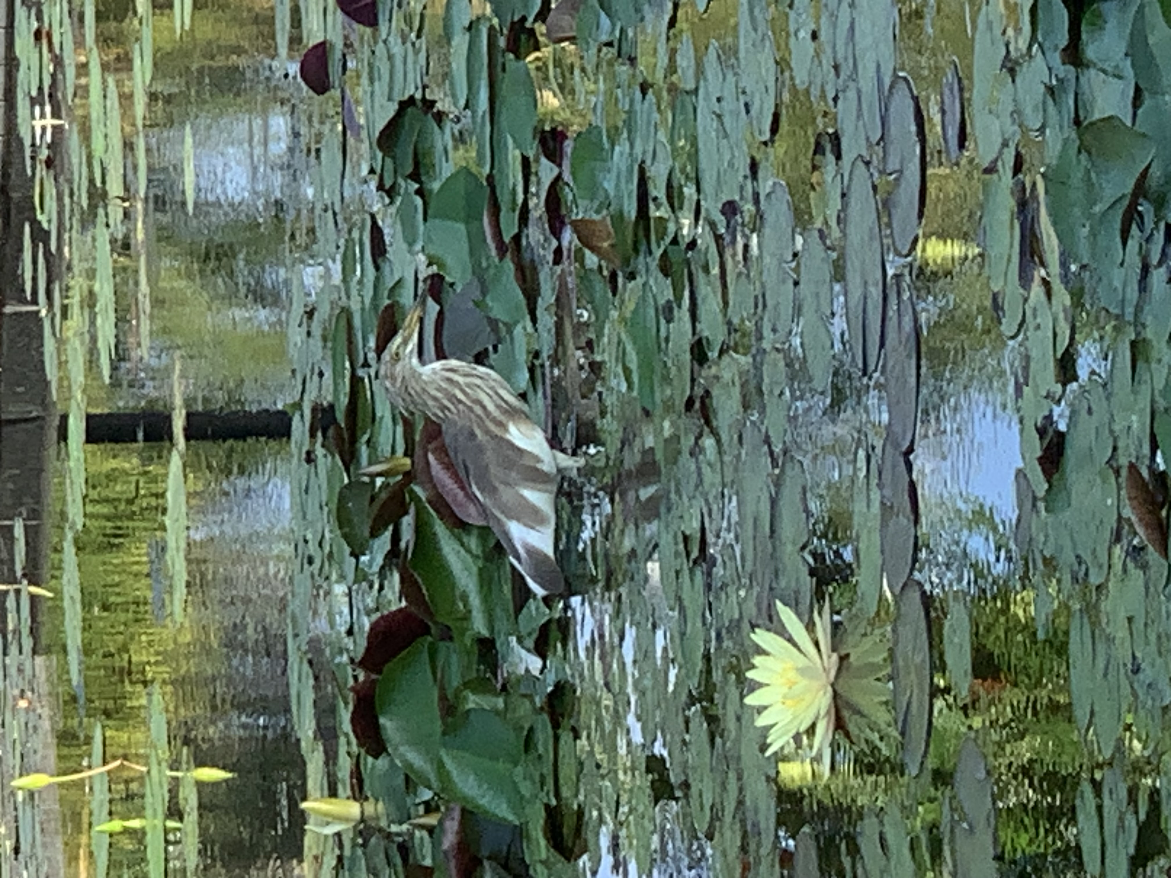 birdwatching spots12.jpg