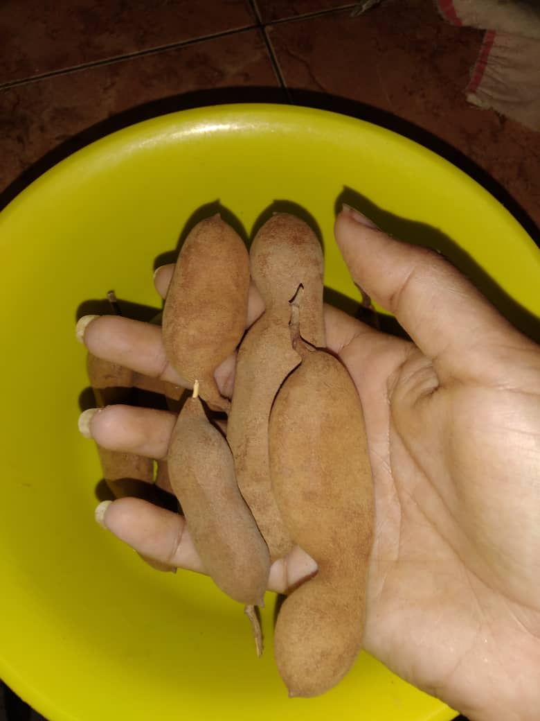 WhatsApp Image 2021-04-19 at 4.31.25 PM.jpeg