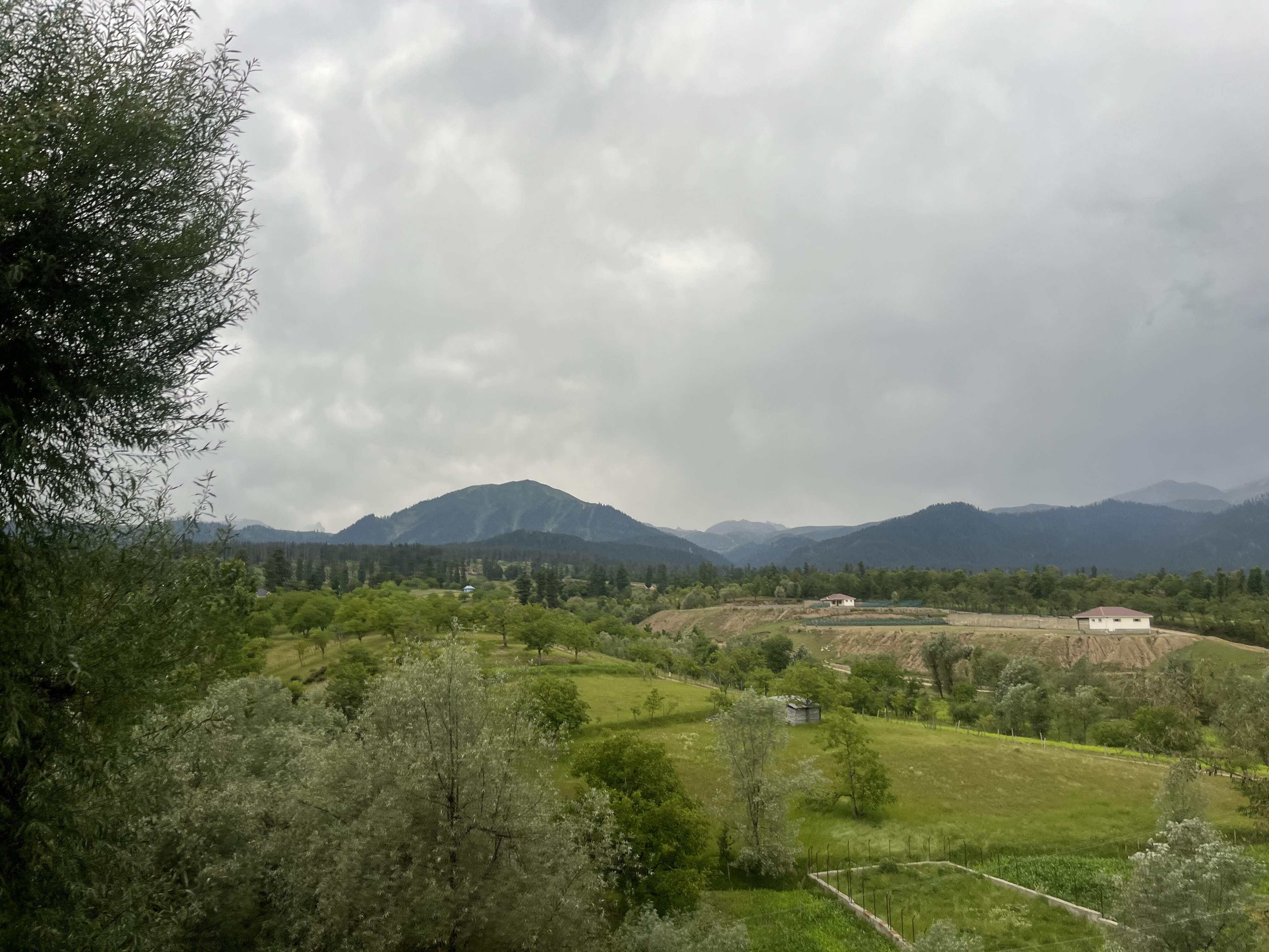 IMG_0710.jpeg