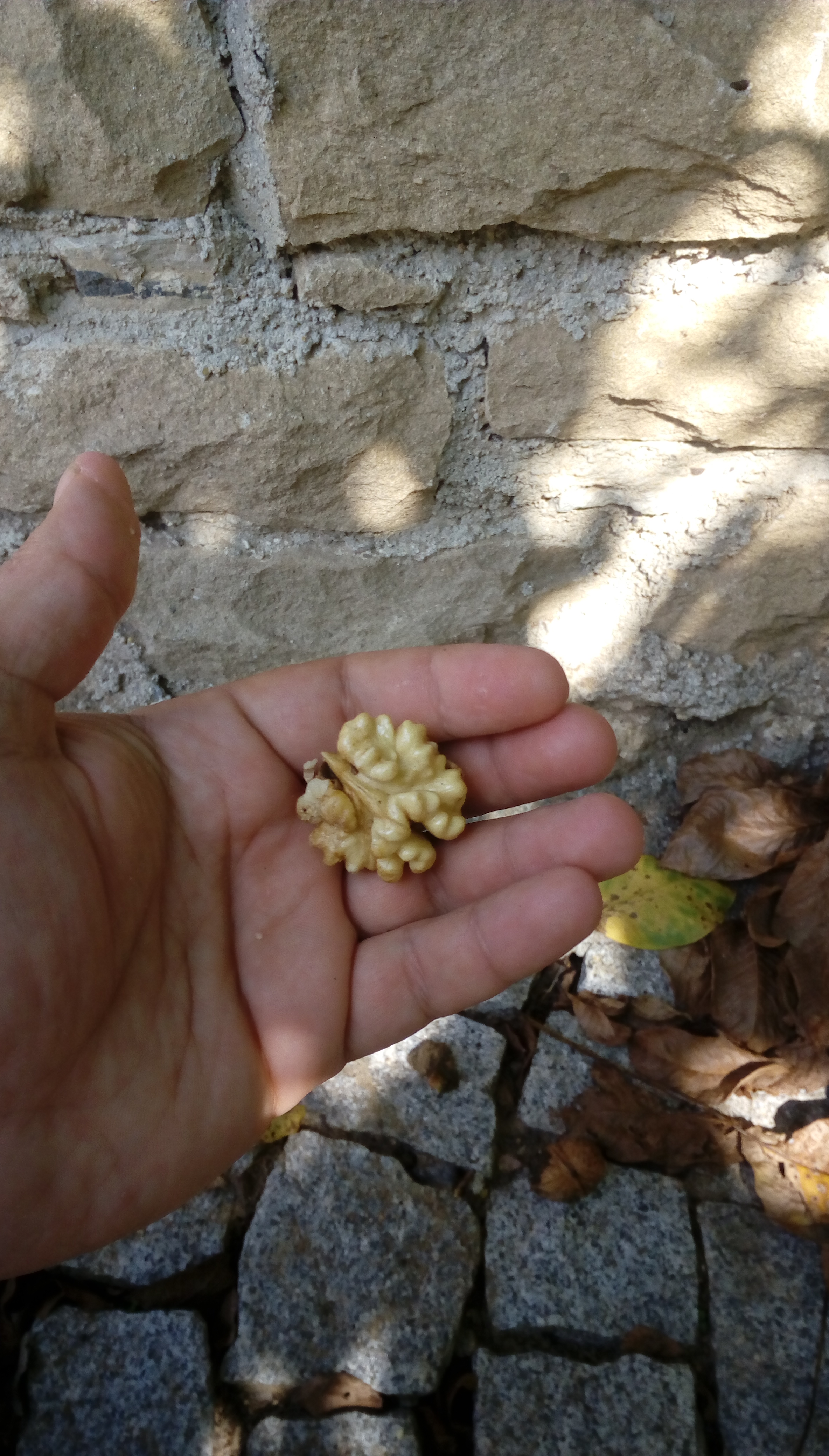 IMAG0946.jpg