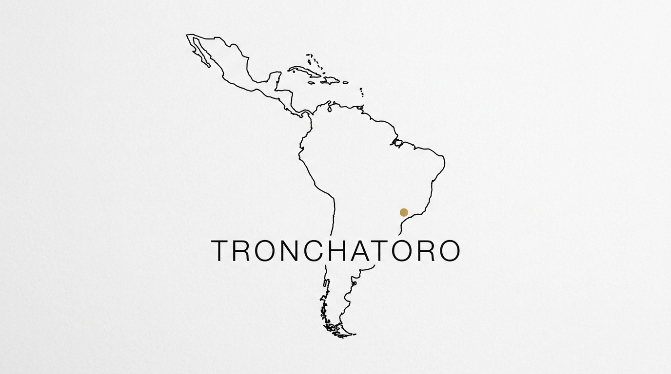 Tronchatoro SEO 5.jpeg