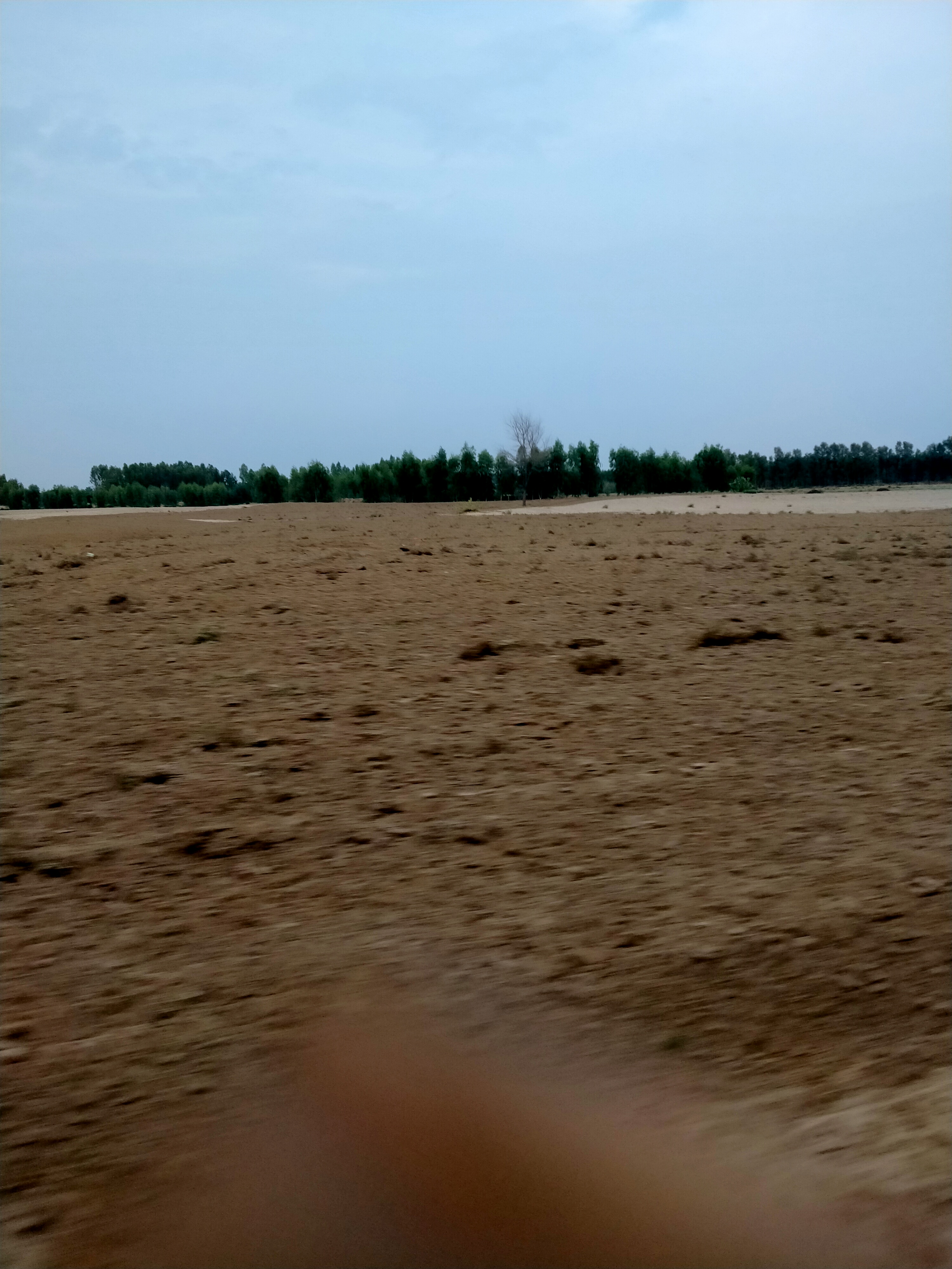 IMG20220725190701.jpg