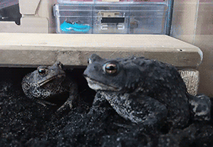 微信图片_20181125122313.gif