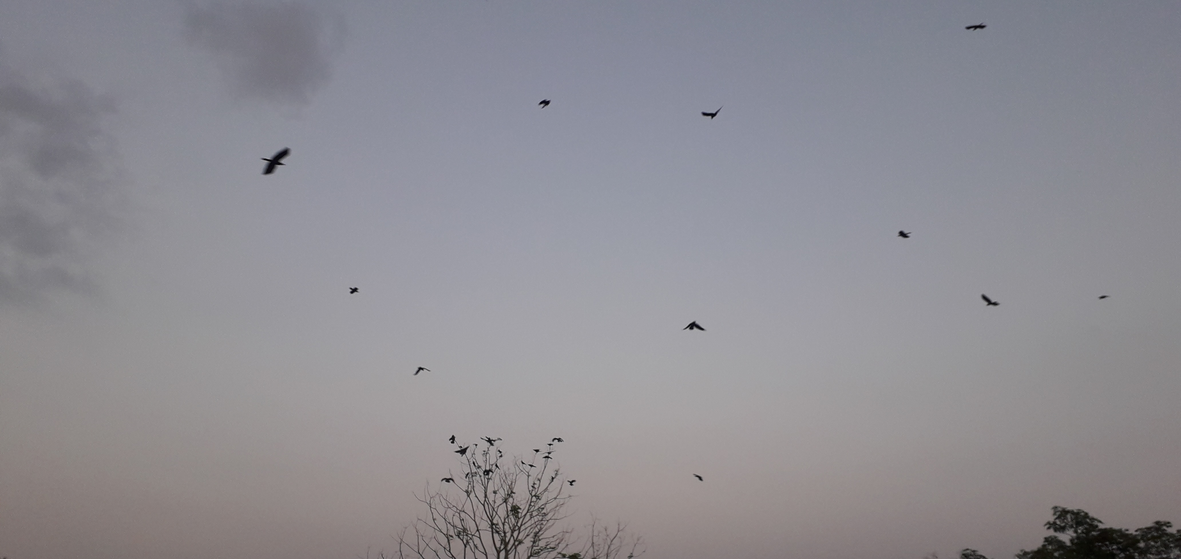 20190604_185304_026.jpg