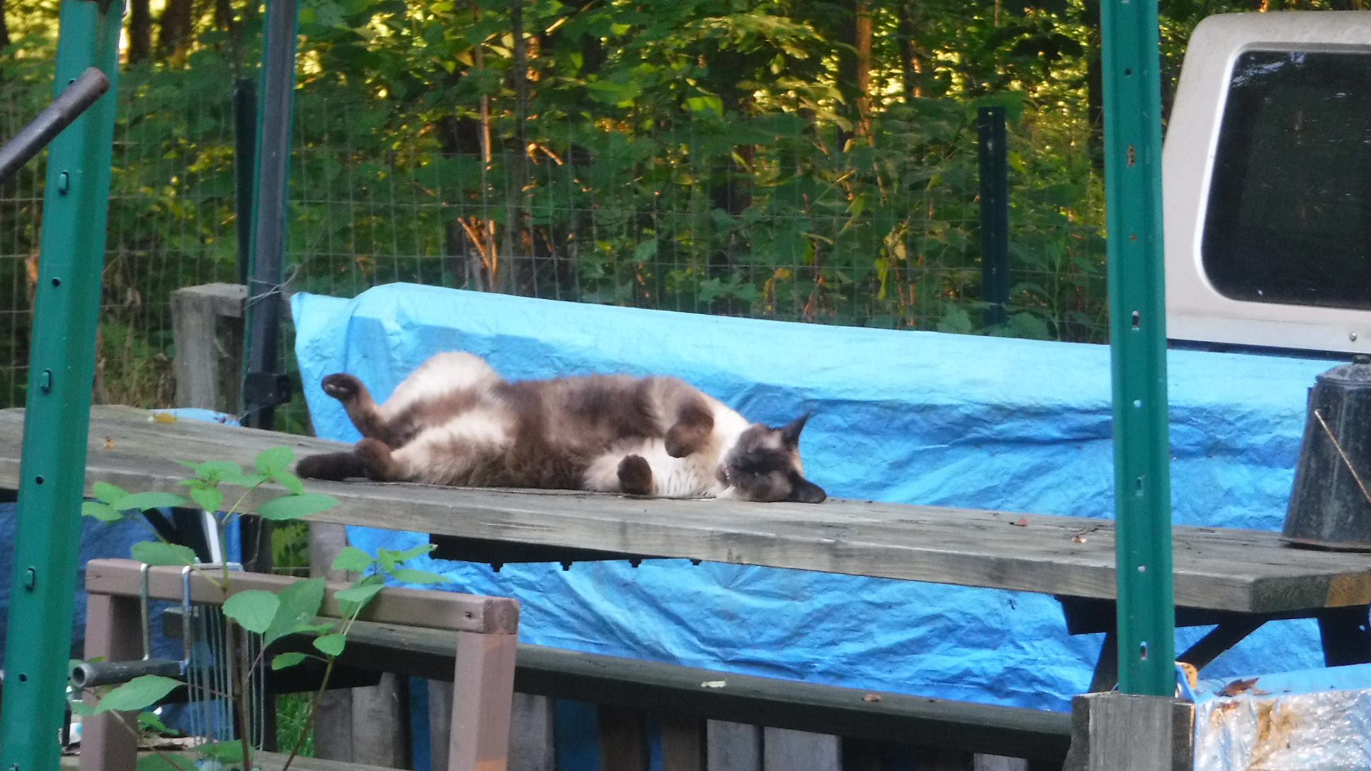 DSCF6204.JPG