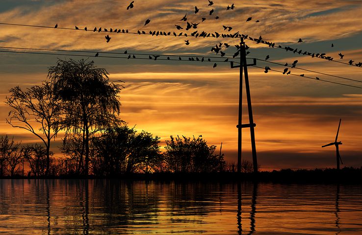 sunset-6178314__480.jpg