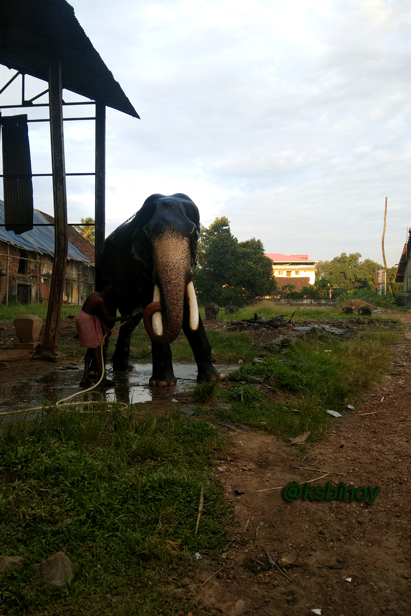 aana-2.jpg