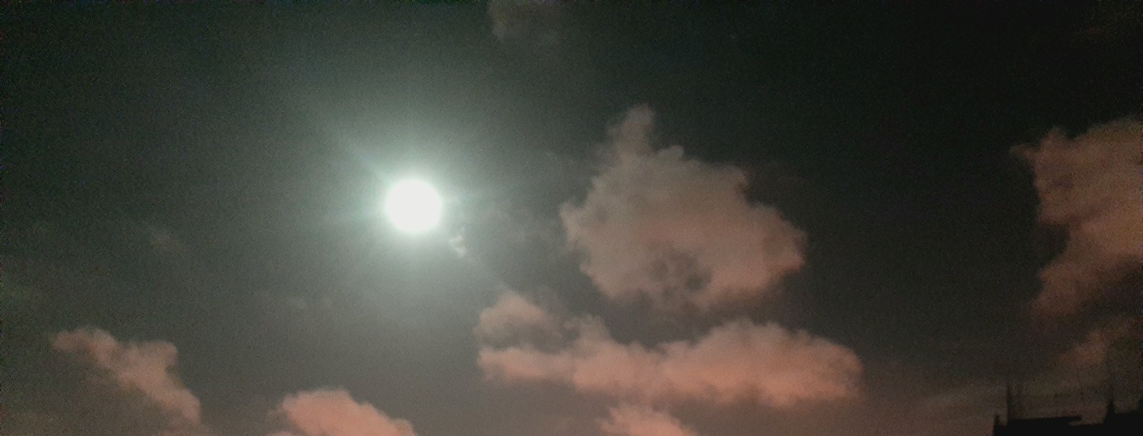 20210625_093824.jpg