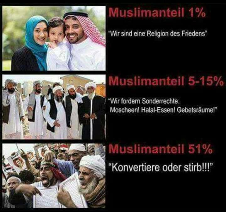 ISLAM.jpg