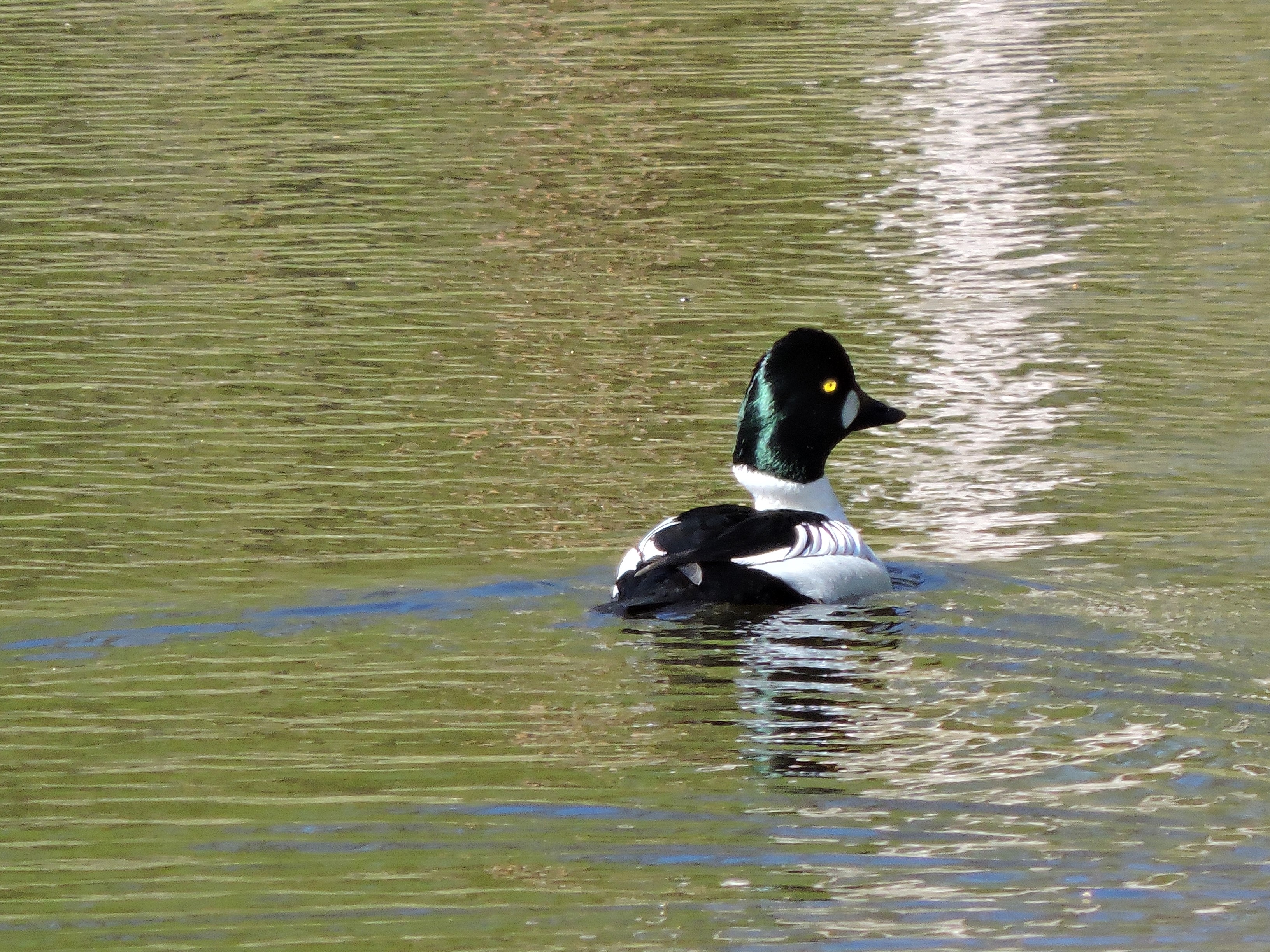 DSCN4219.JPG
