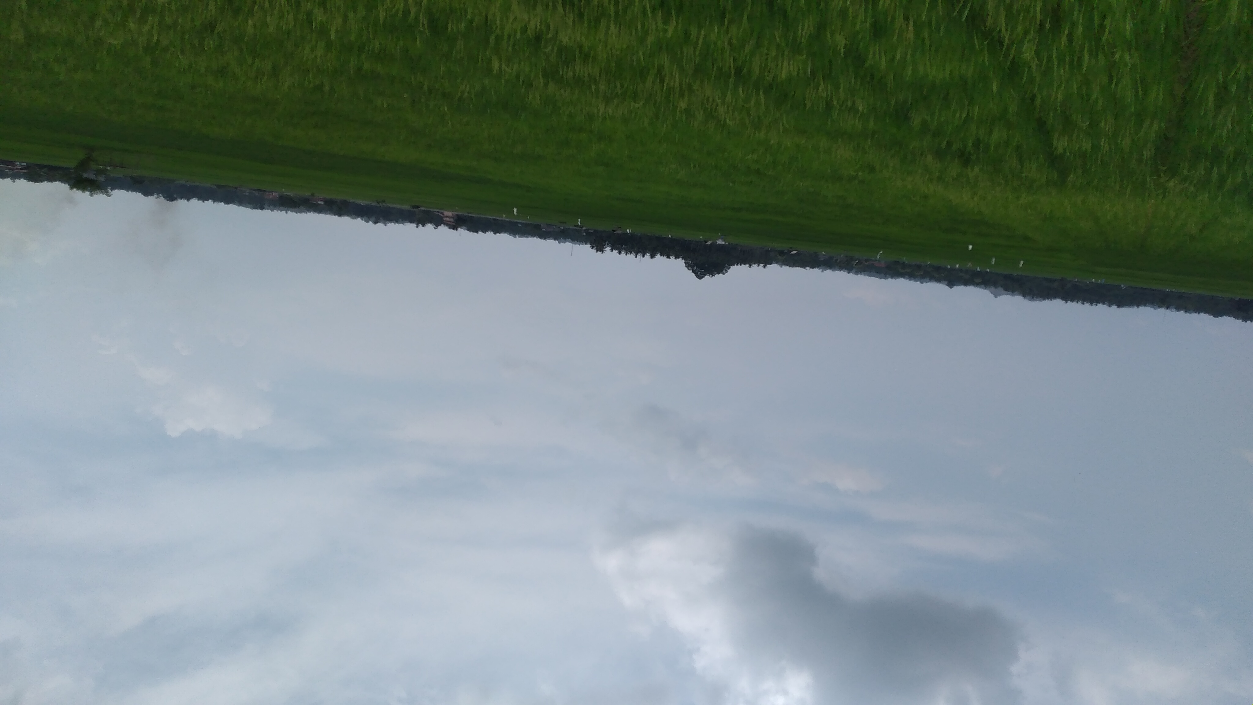 20240326_115952.jpg