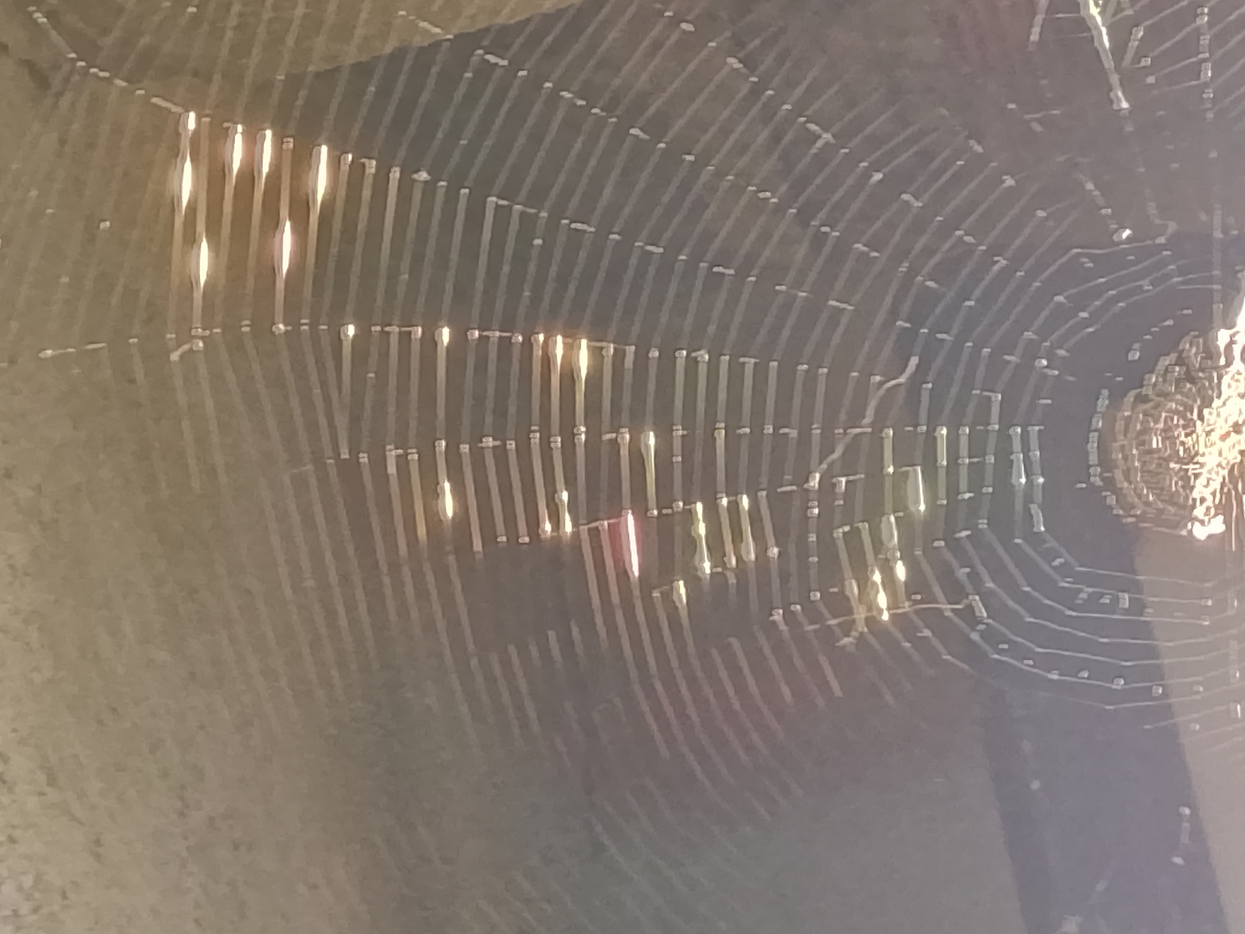 FotoGrid_20260617_183937075.jpg