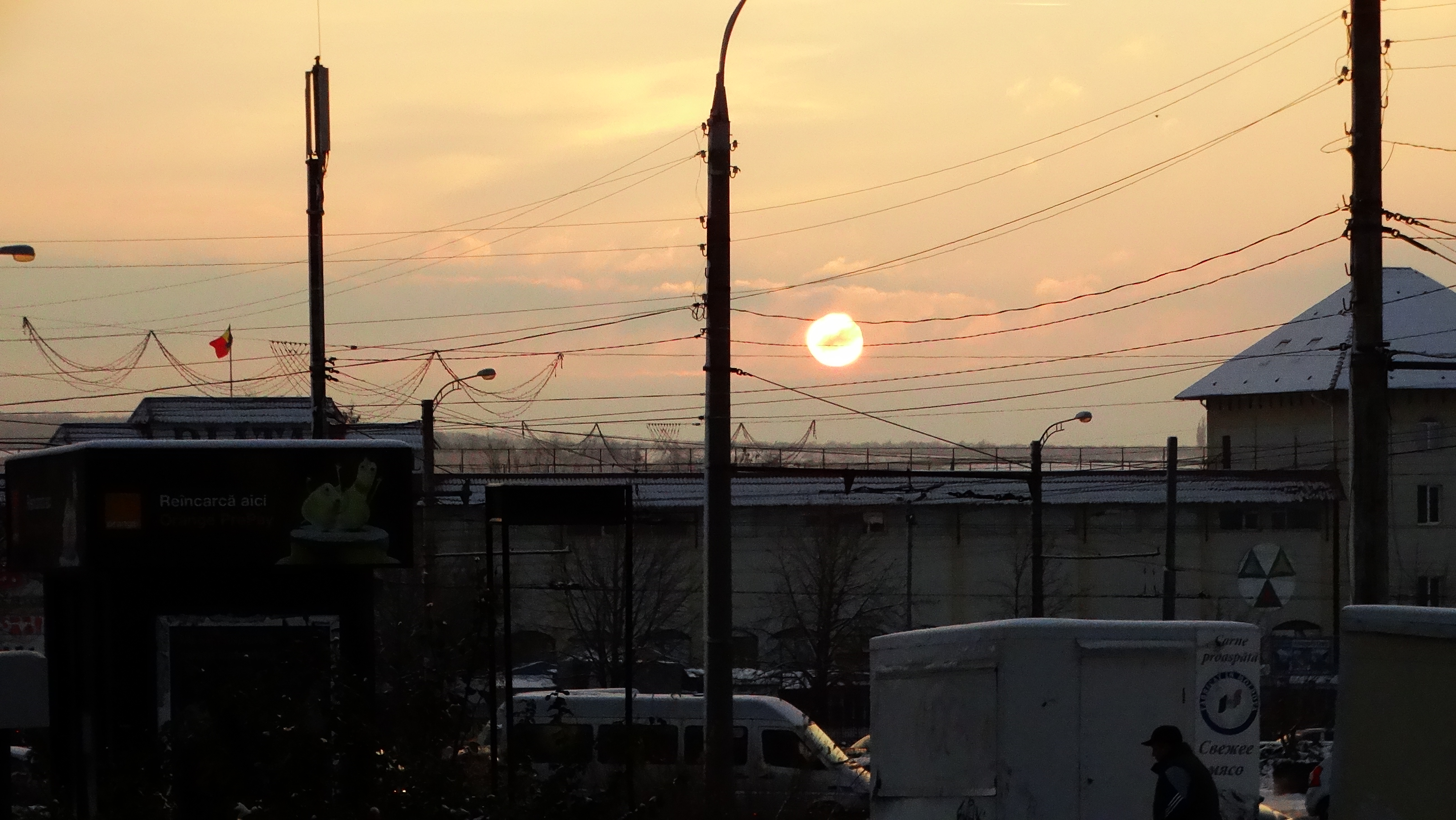 DSC03524.JPG