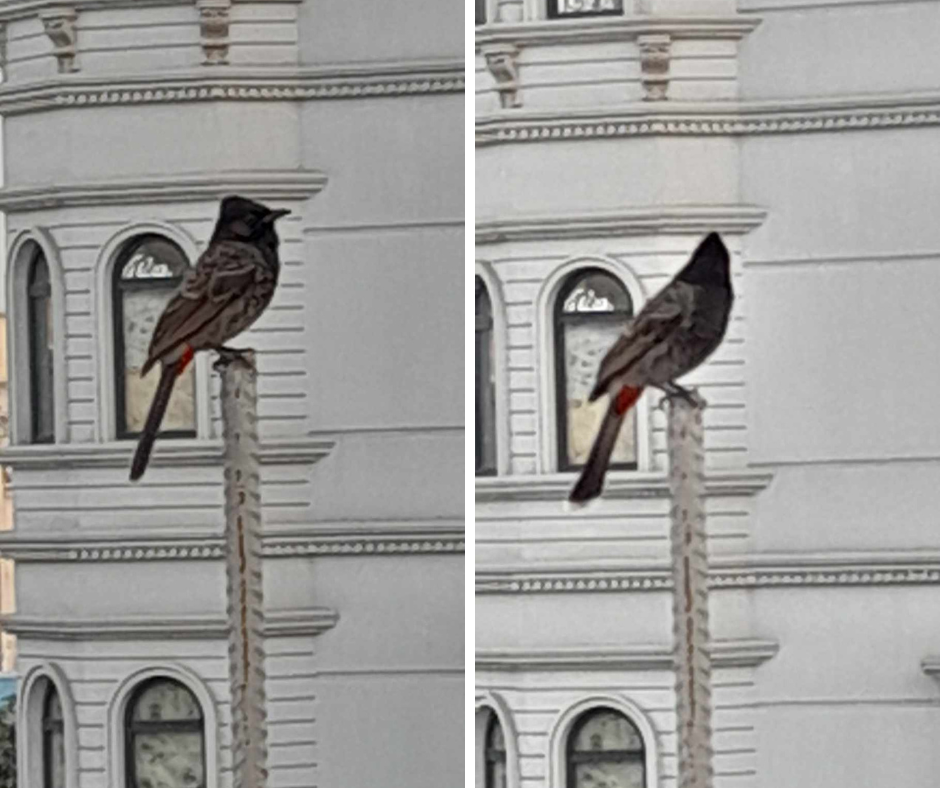 Untitled design (14).png