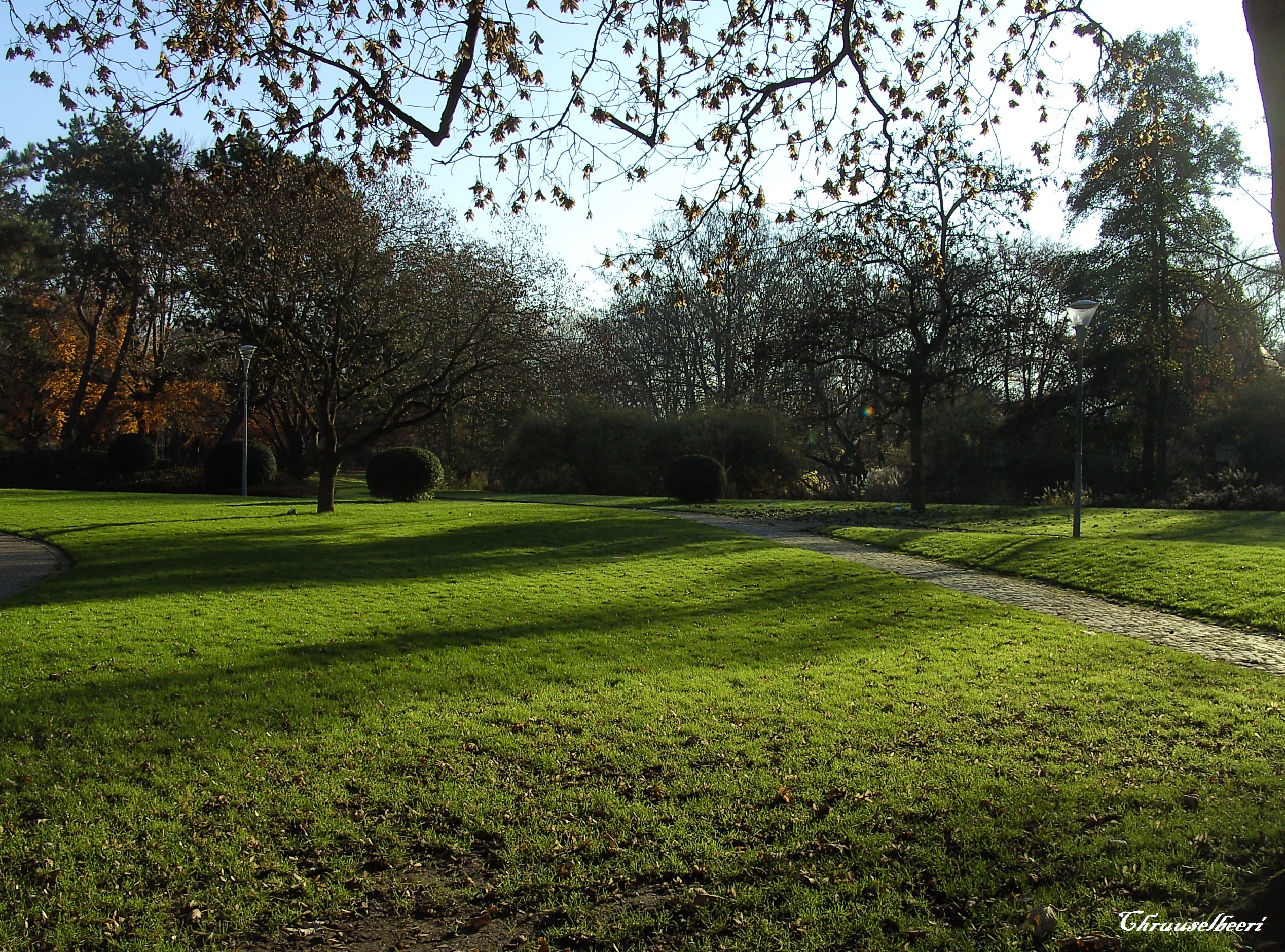 Sonnenstrahlen_07.jpg