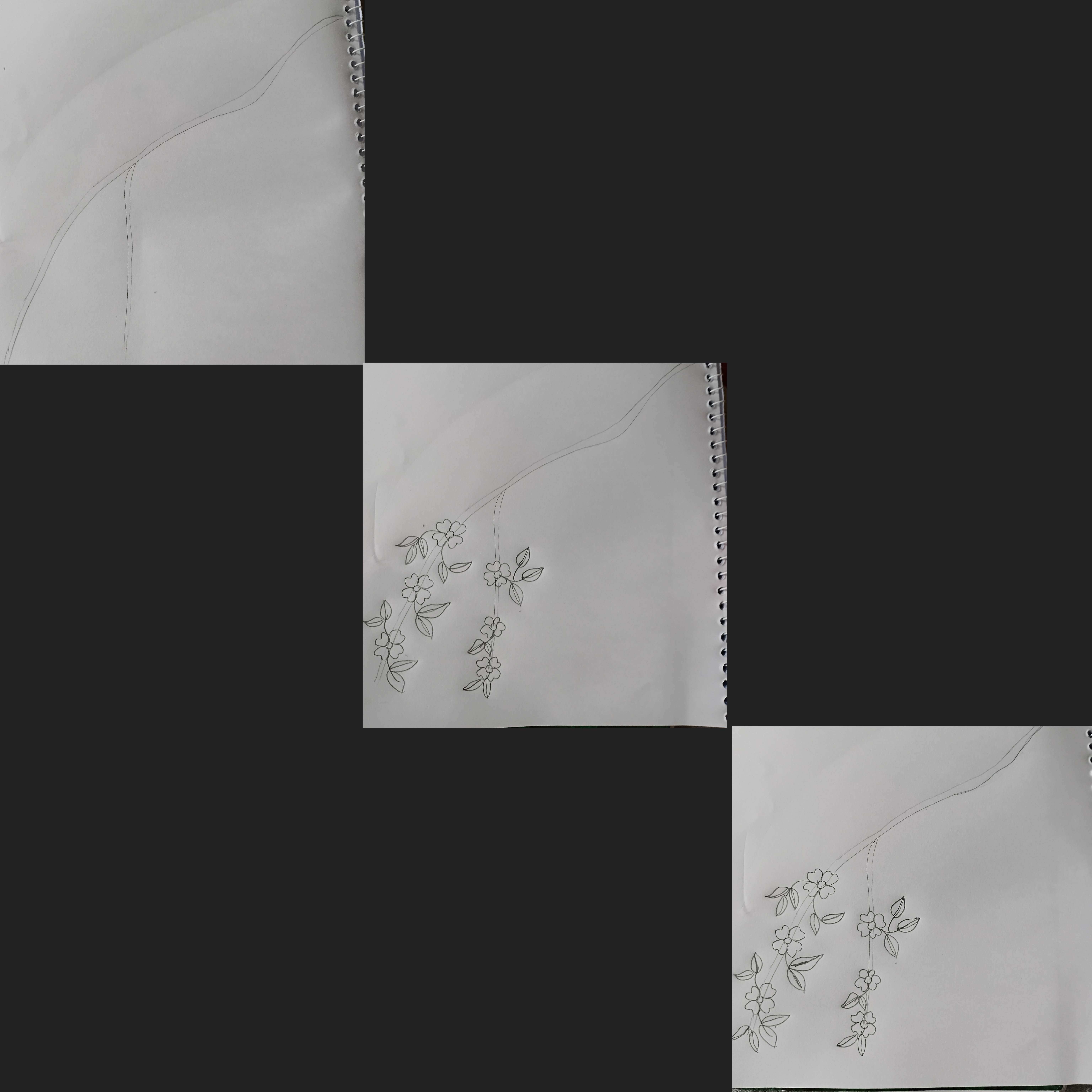 46906.jpg