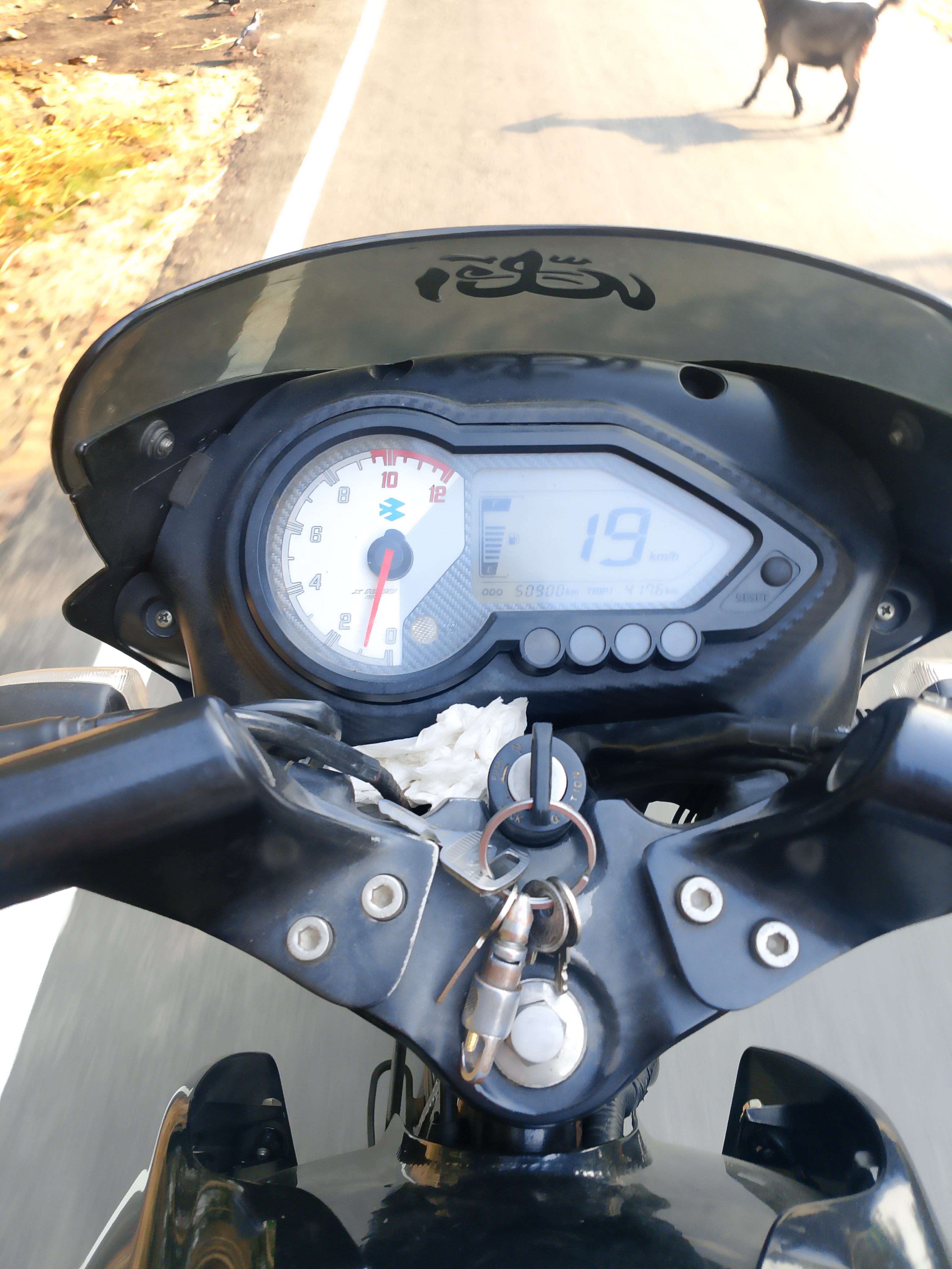 1000064930.jpg