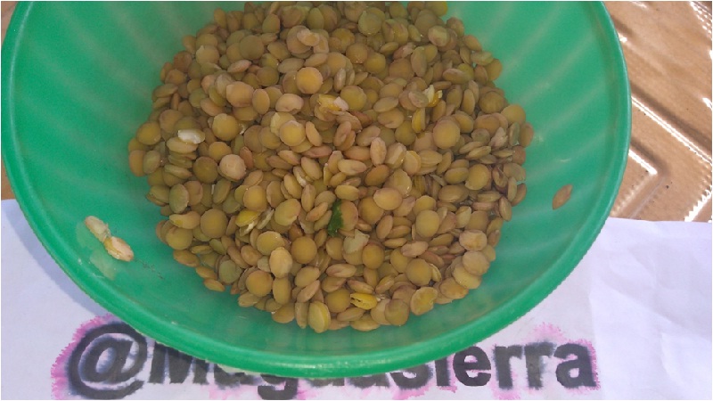 LENTEJAS CROQUETAS MATERIALES.jpg