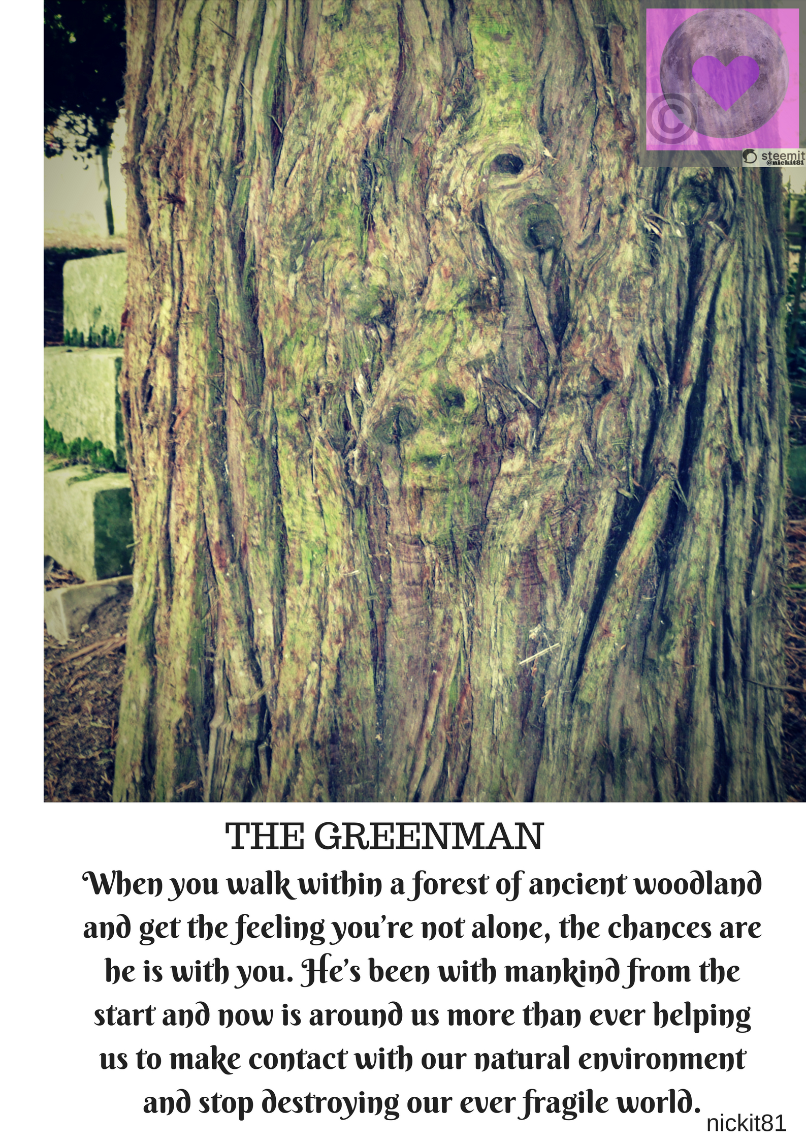 f you walk within a forest of ancient woodland and get the feeling you’re not alone, the chances are he is with you. He’s been with mankind from the start and now is around us more than ever helping us to make (2).jpg