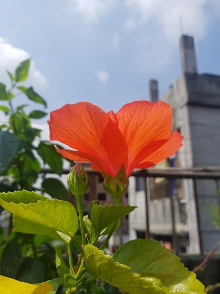 1A1597E6-38D1-4426-9CFE-0C676947F0E4.jpeg