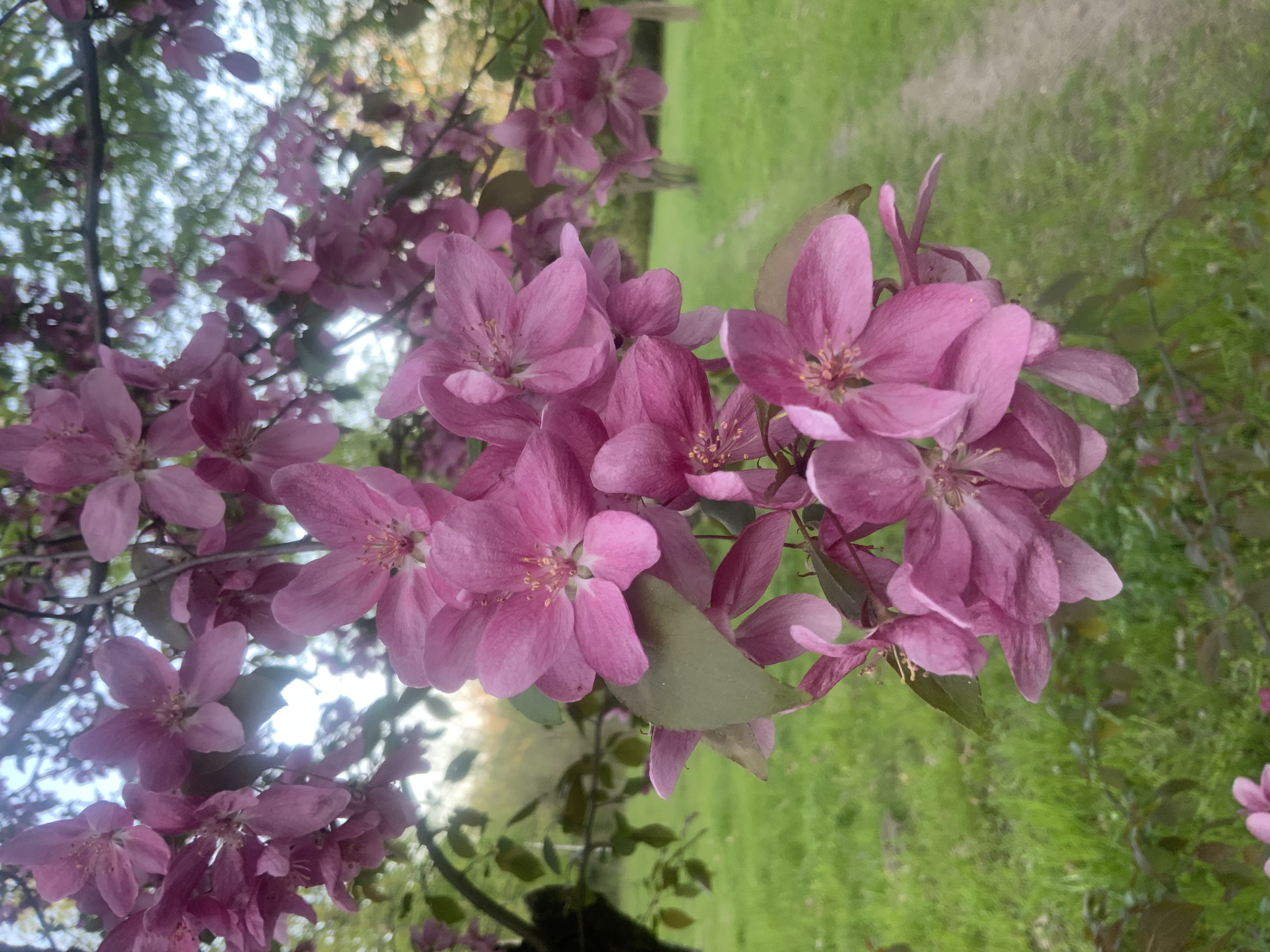 image.jpeg