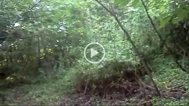 Jacob Goes Off Grid 174 Part 2a.png