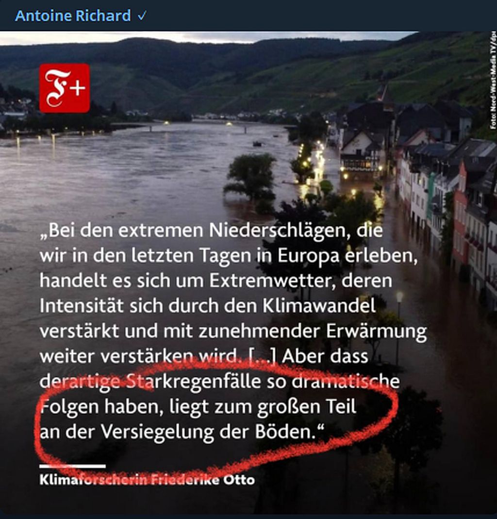 Die schwerwiegenden Folgen liegen größtenteils an den versigelten Böden.jpg