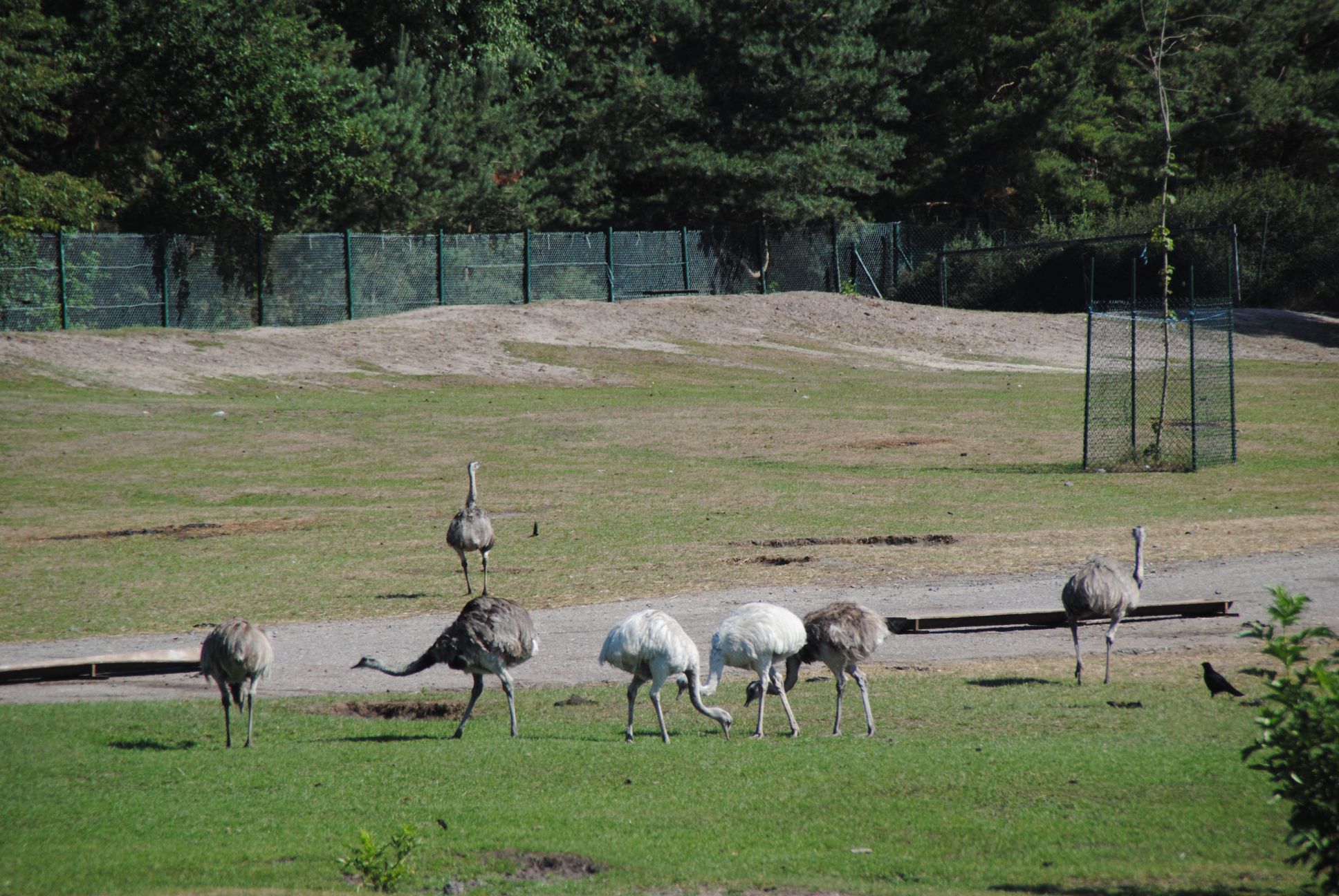 image022.jpg