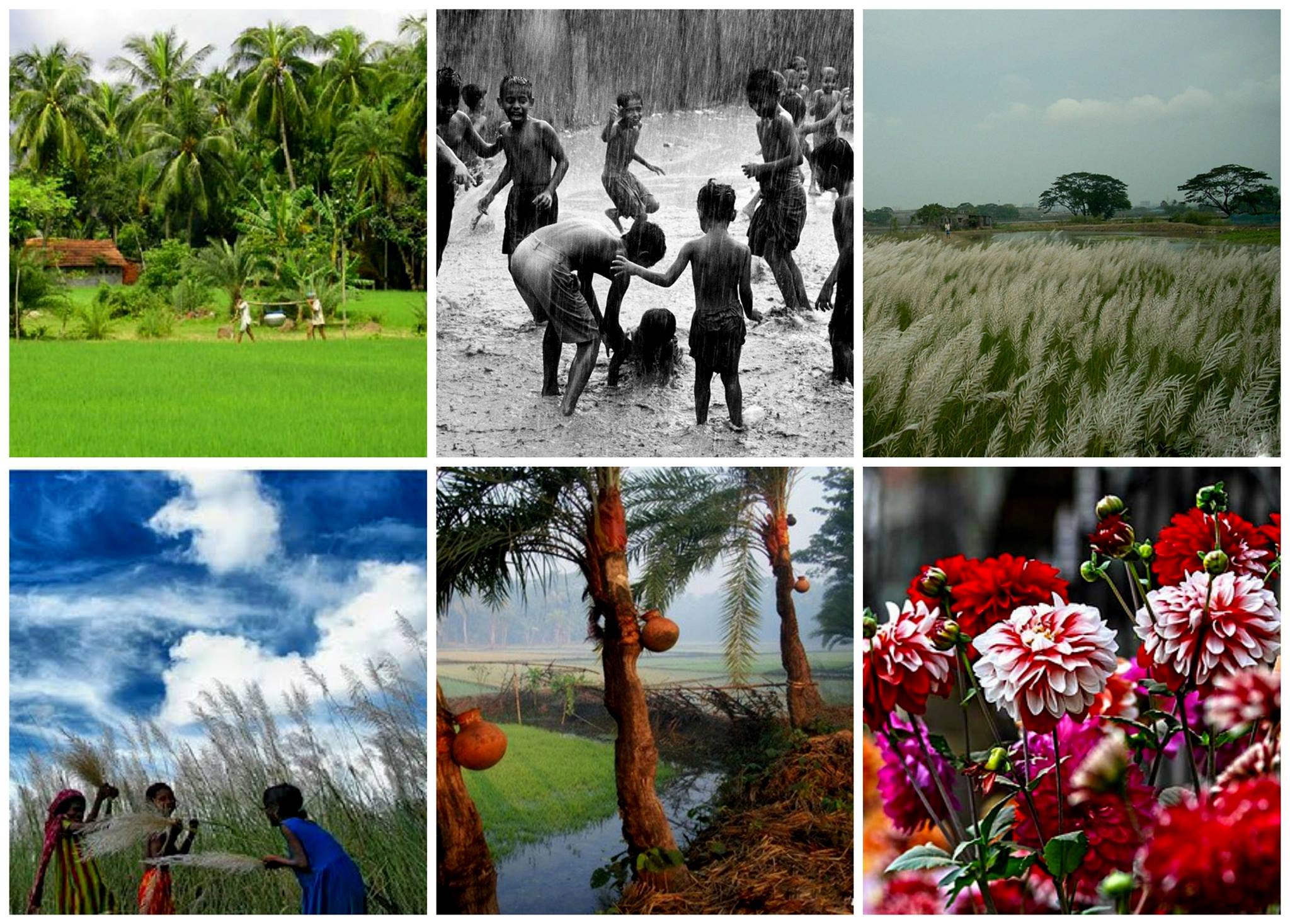 6 season bangladesh.jpg