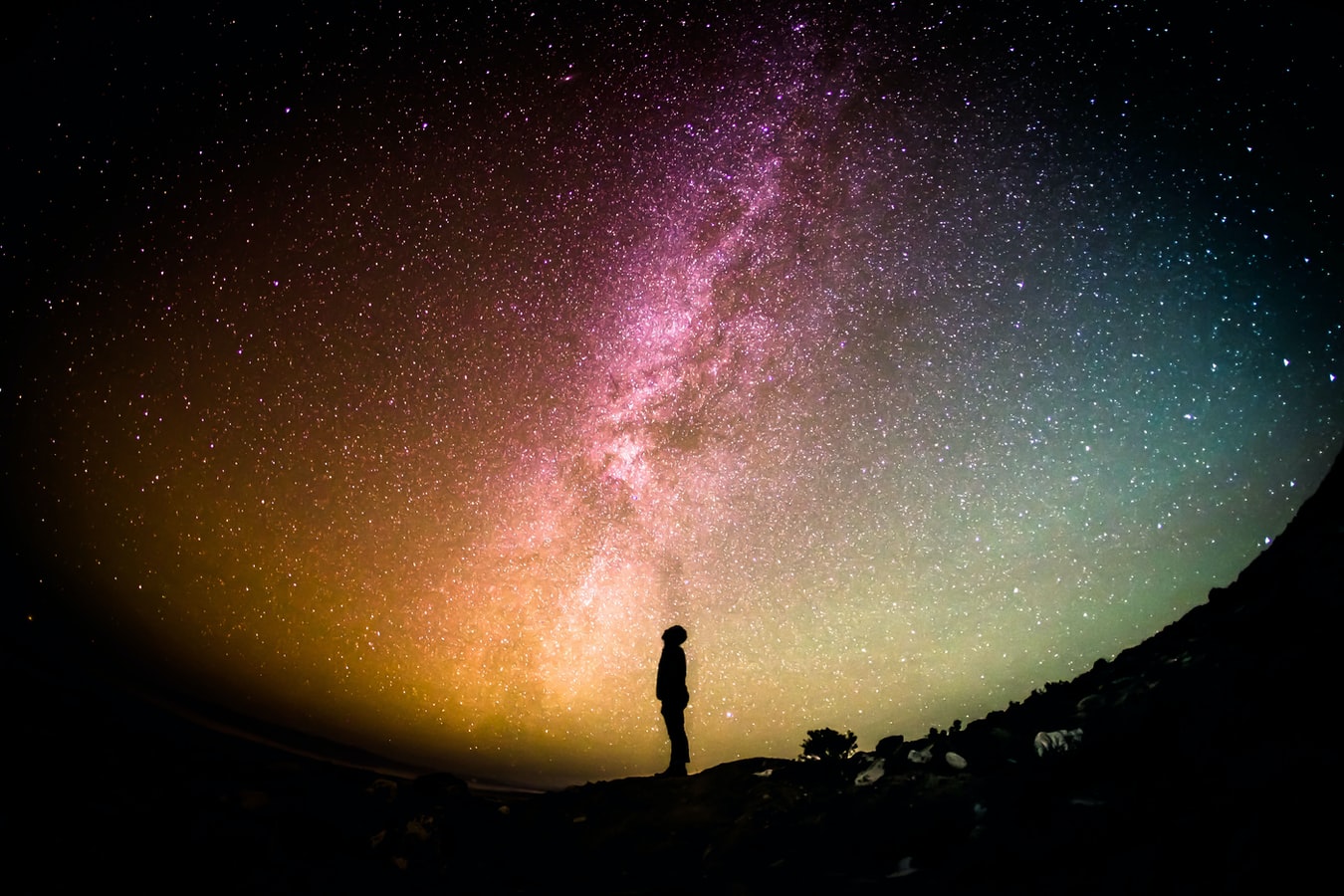 Photo Credit:Greg Rakozy @grakozy (Unsplash).jpg