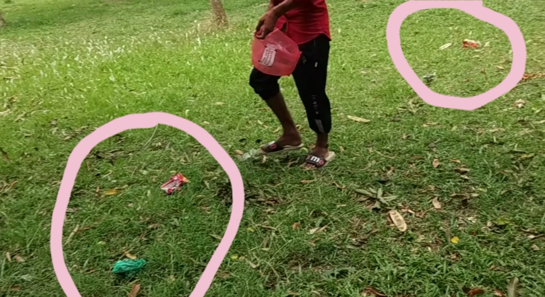 20190807_213013.jpg