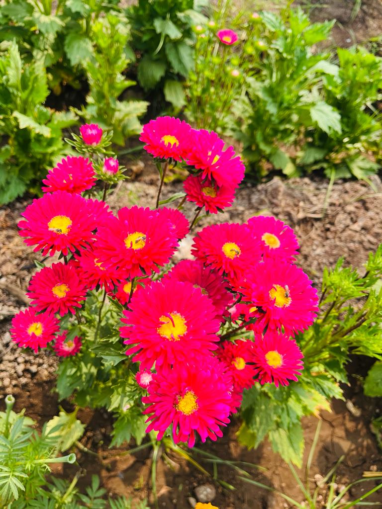 90fcff03-9c76-489f-acf6-206758acc149.jpeg