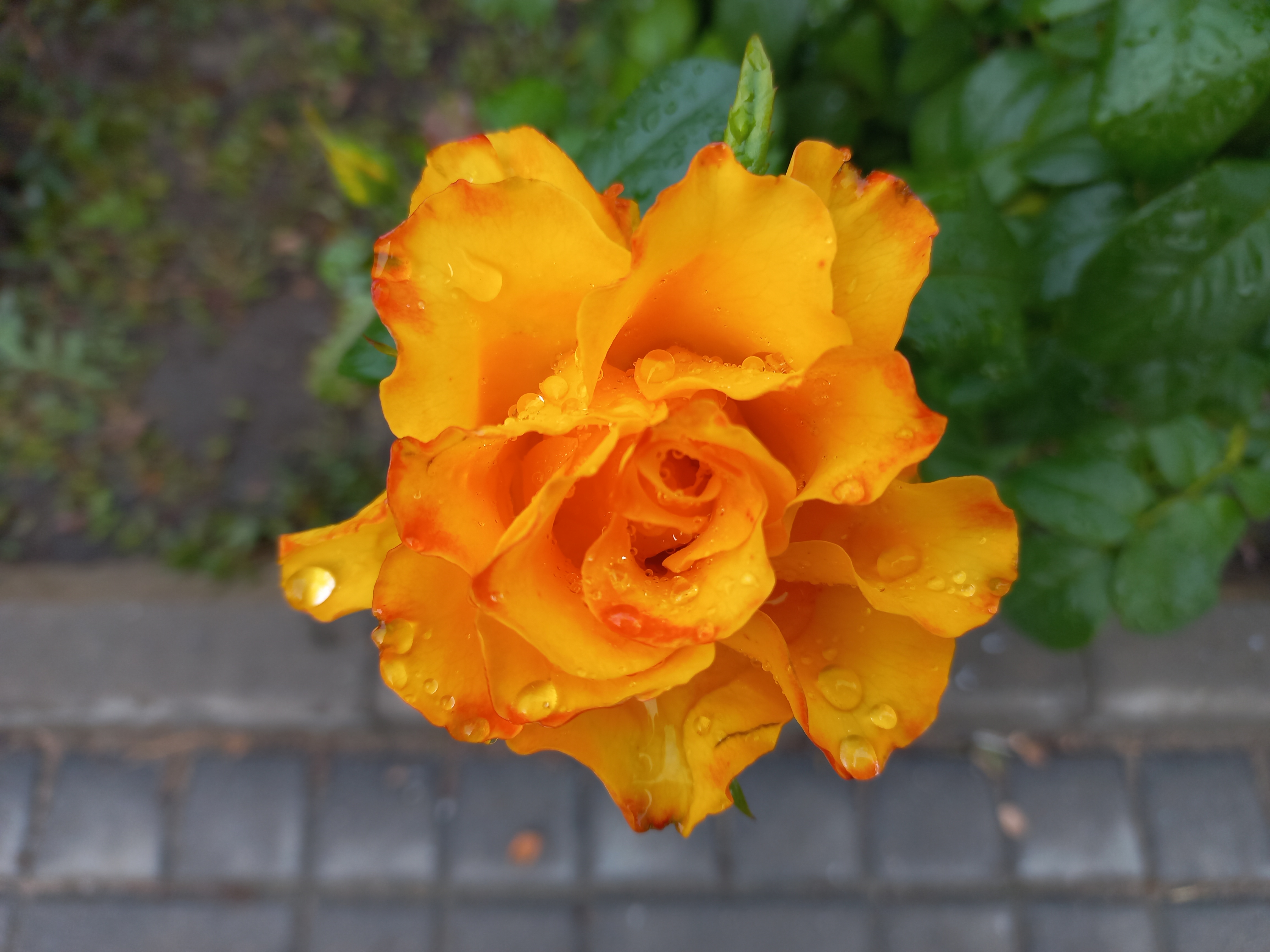 20210925_154114.jpg