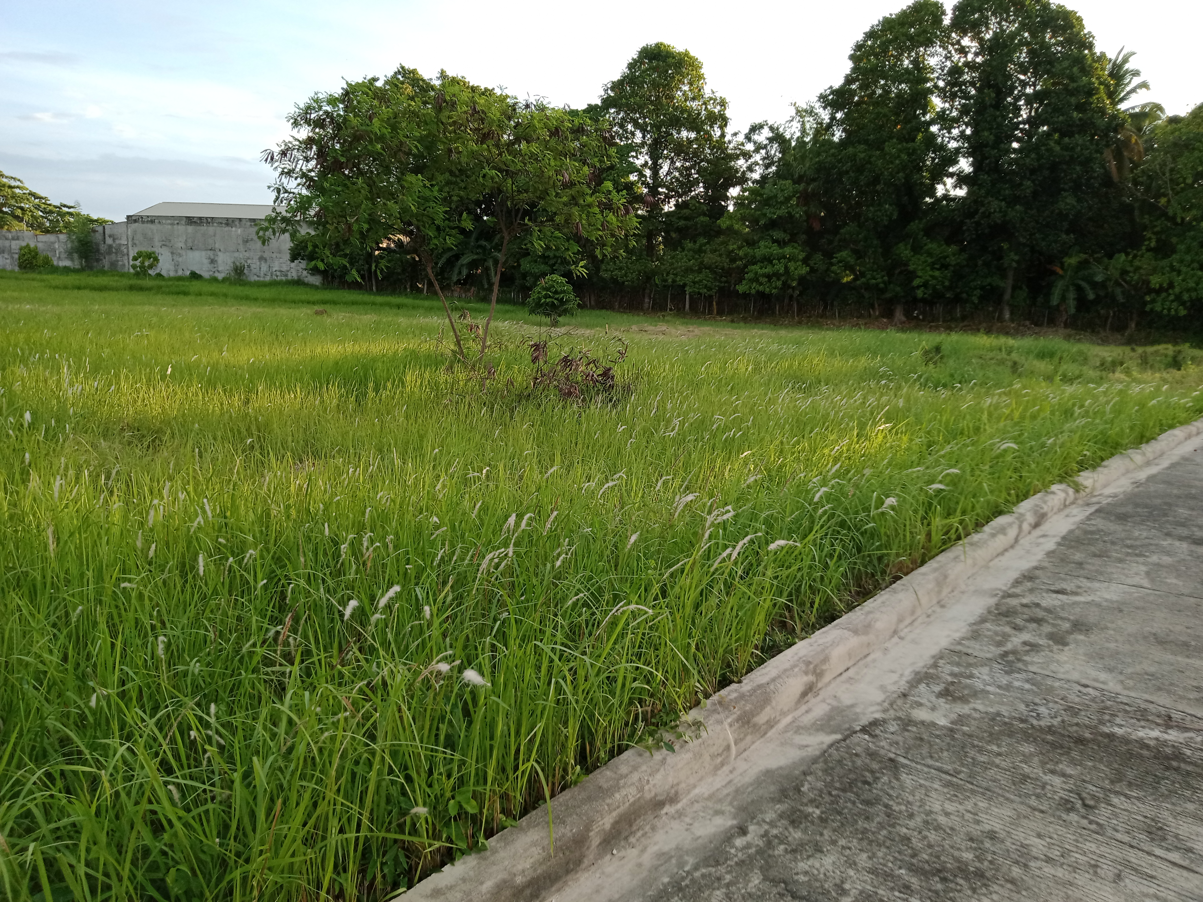 IMG20210529165617.jpg