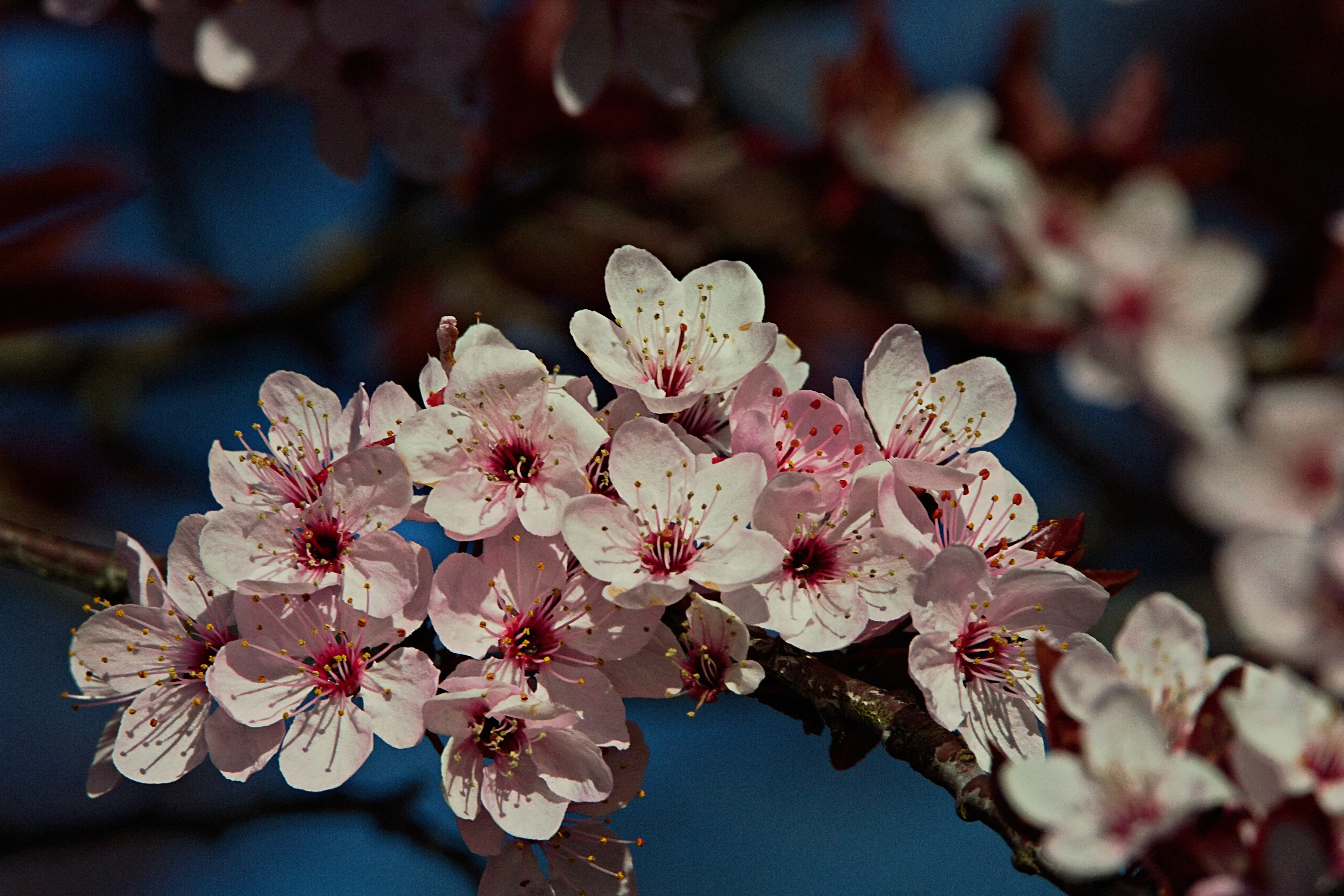 IMG_1391_InPixio (2).jpg