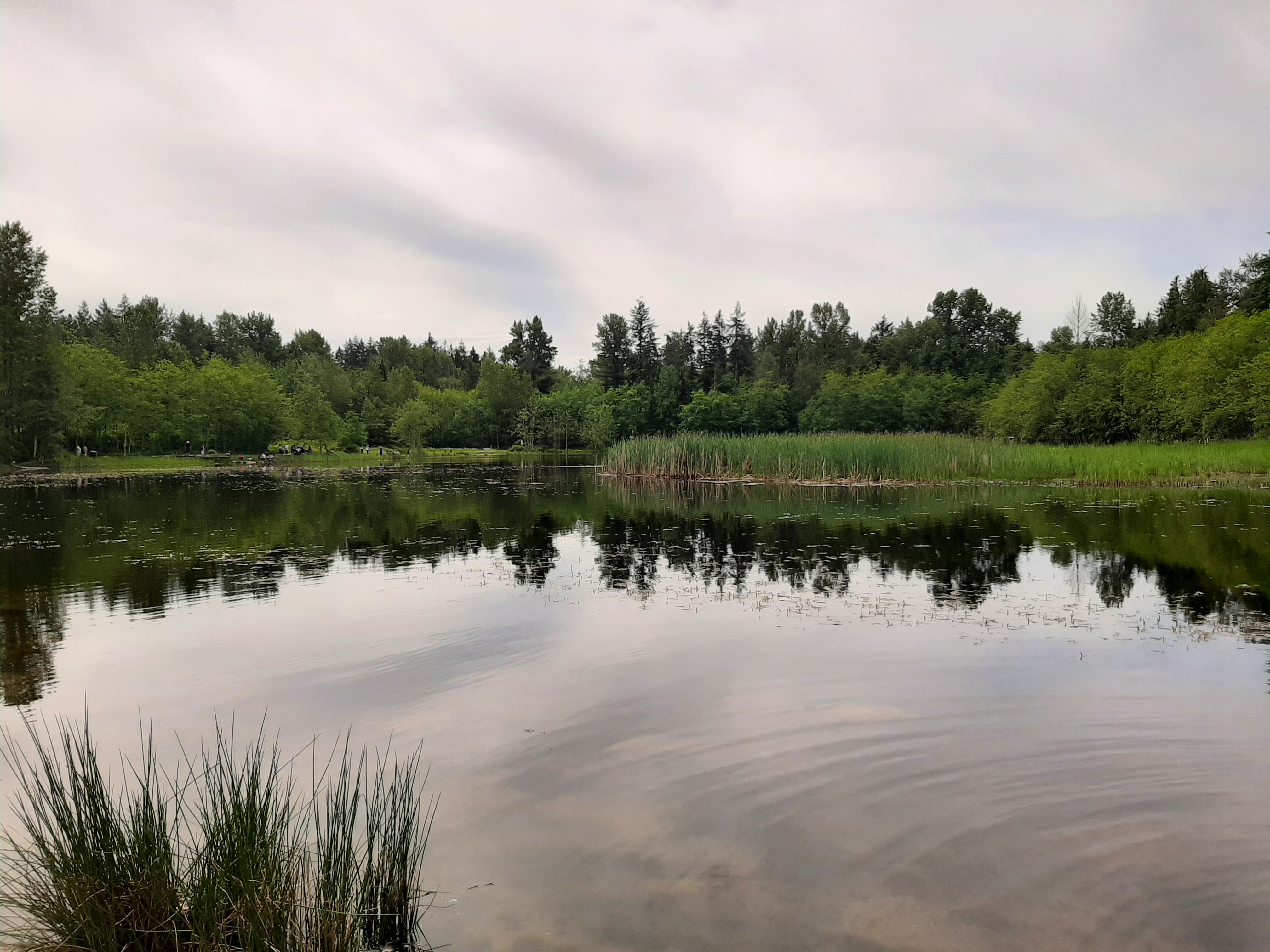 20220602_112115.jpg