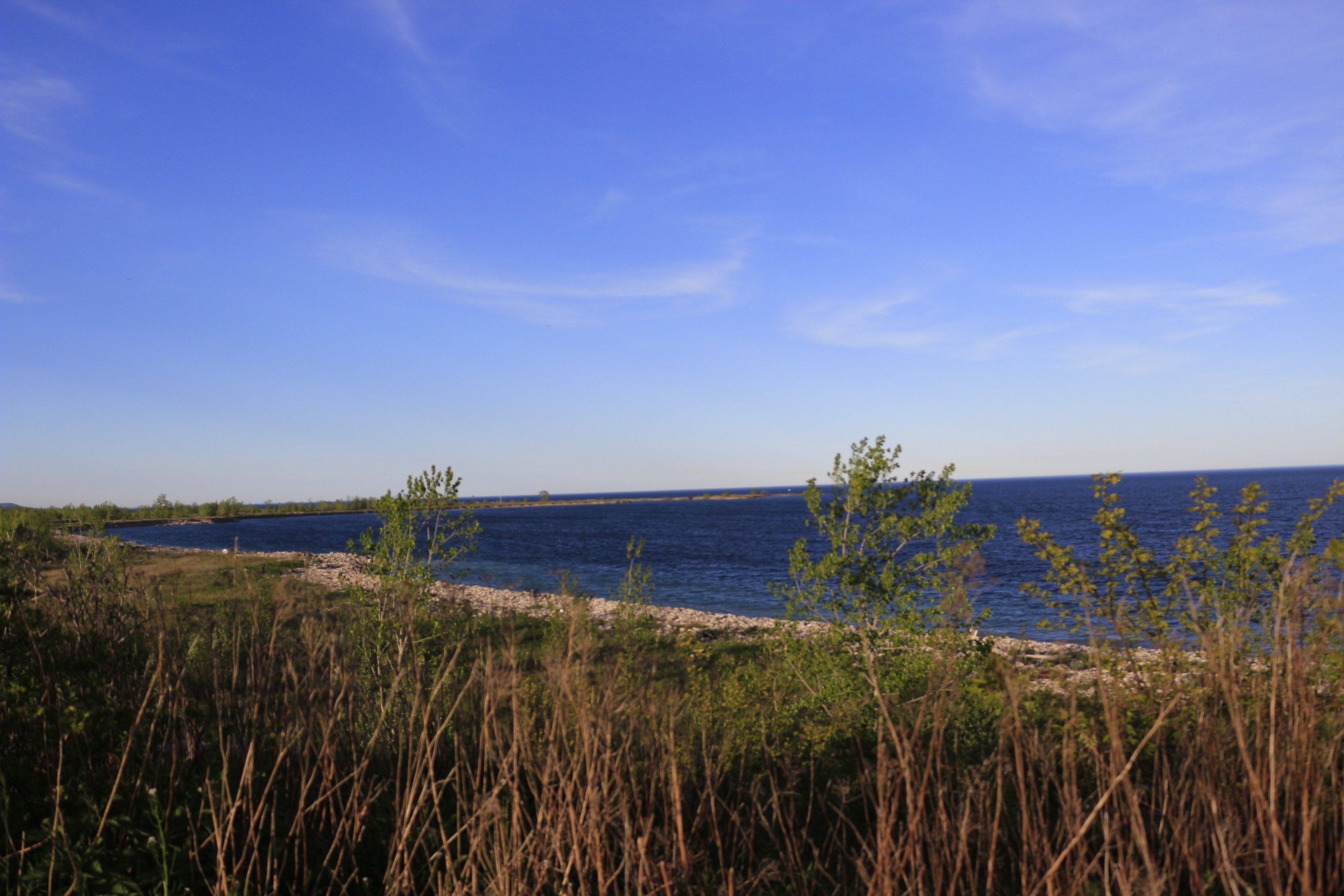 _MG_0906.JPG