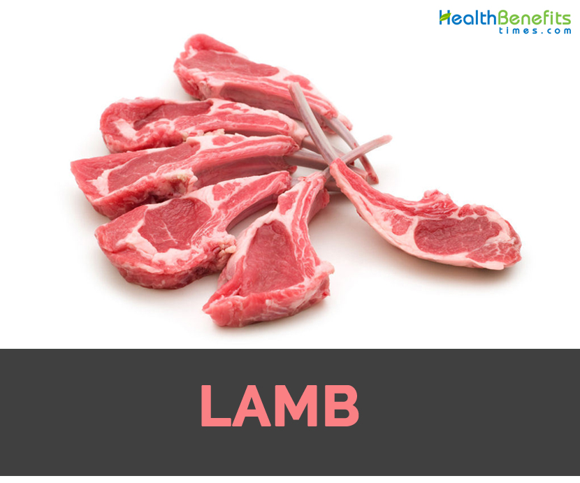 Main-image-of-Lamb.jpg