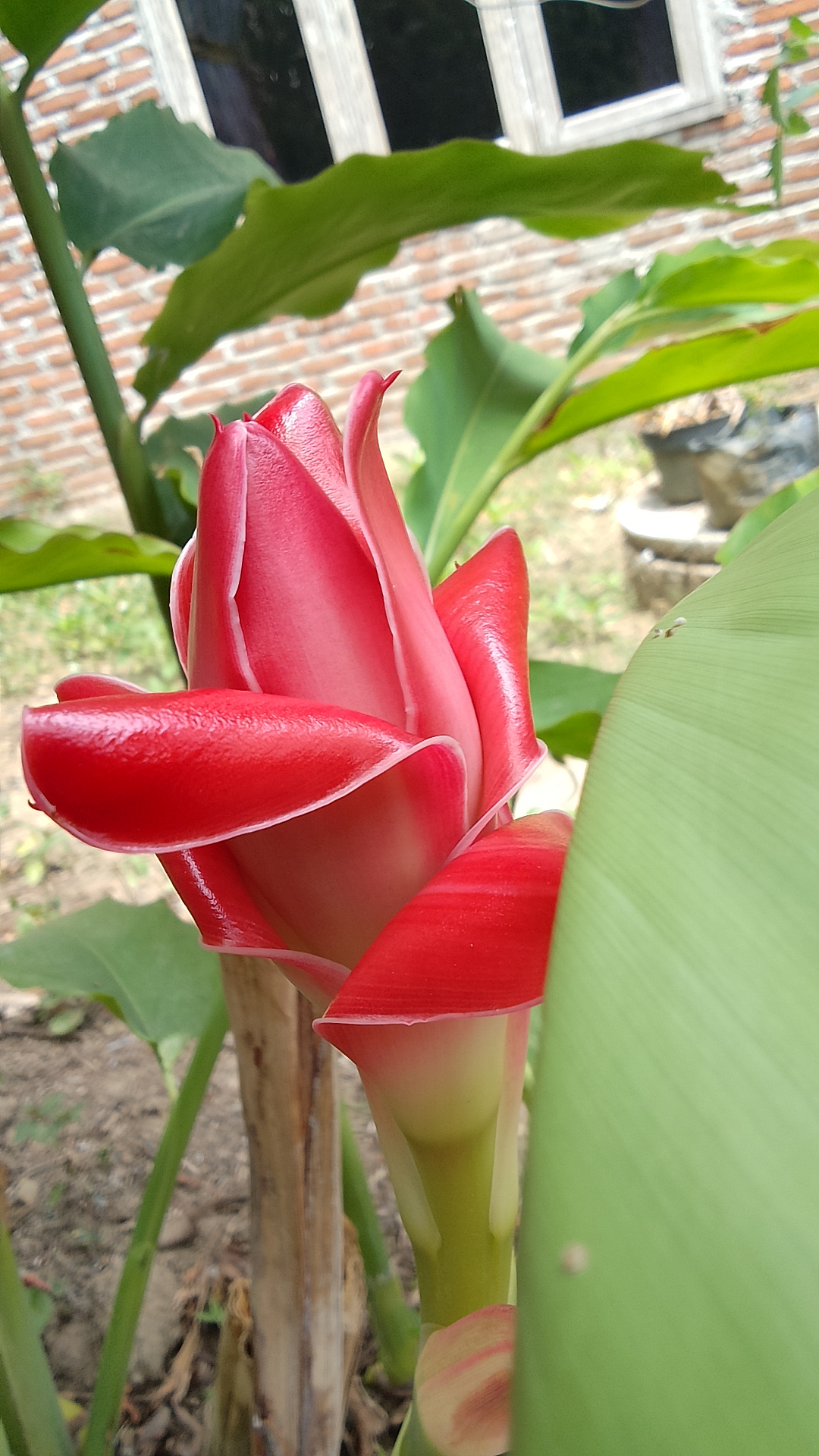 IMG_20240414_113557_HDR.jpg