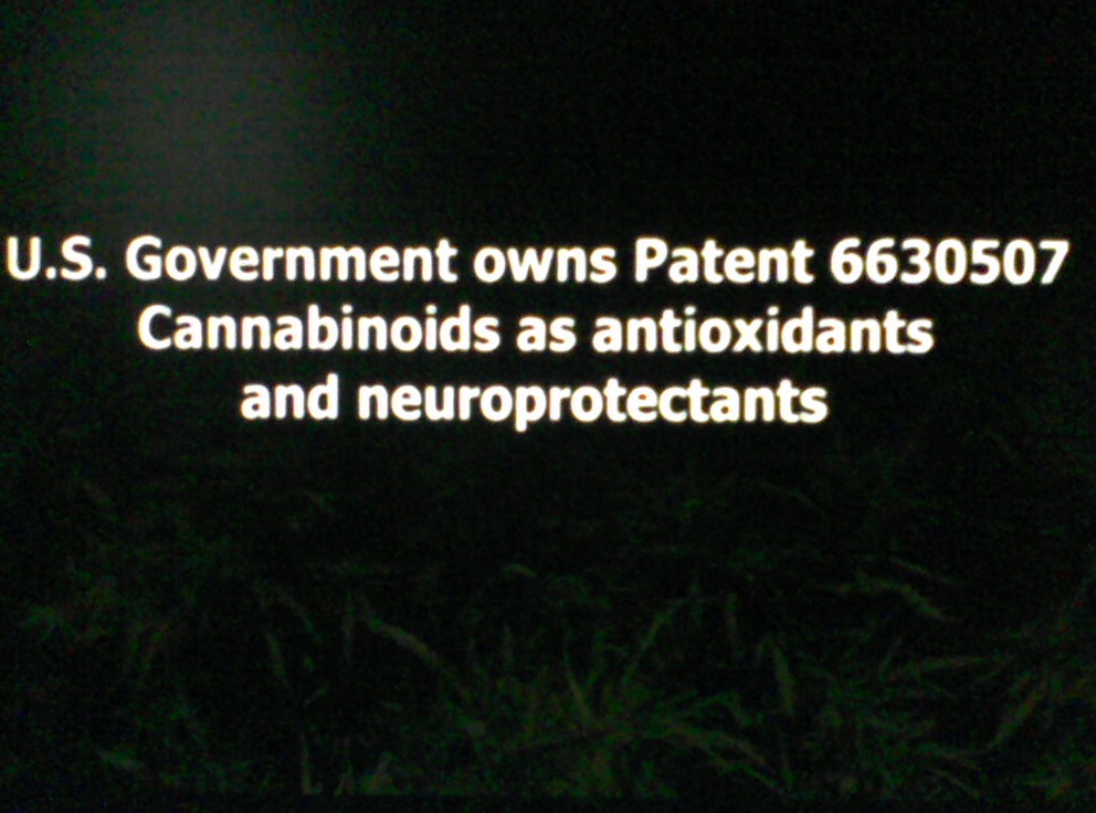 US governement owns cannabis patents.jpg