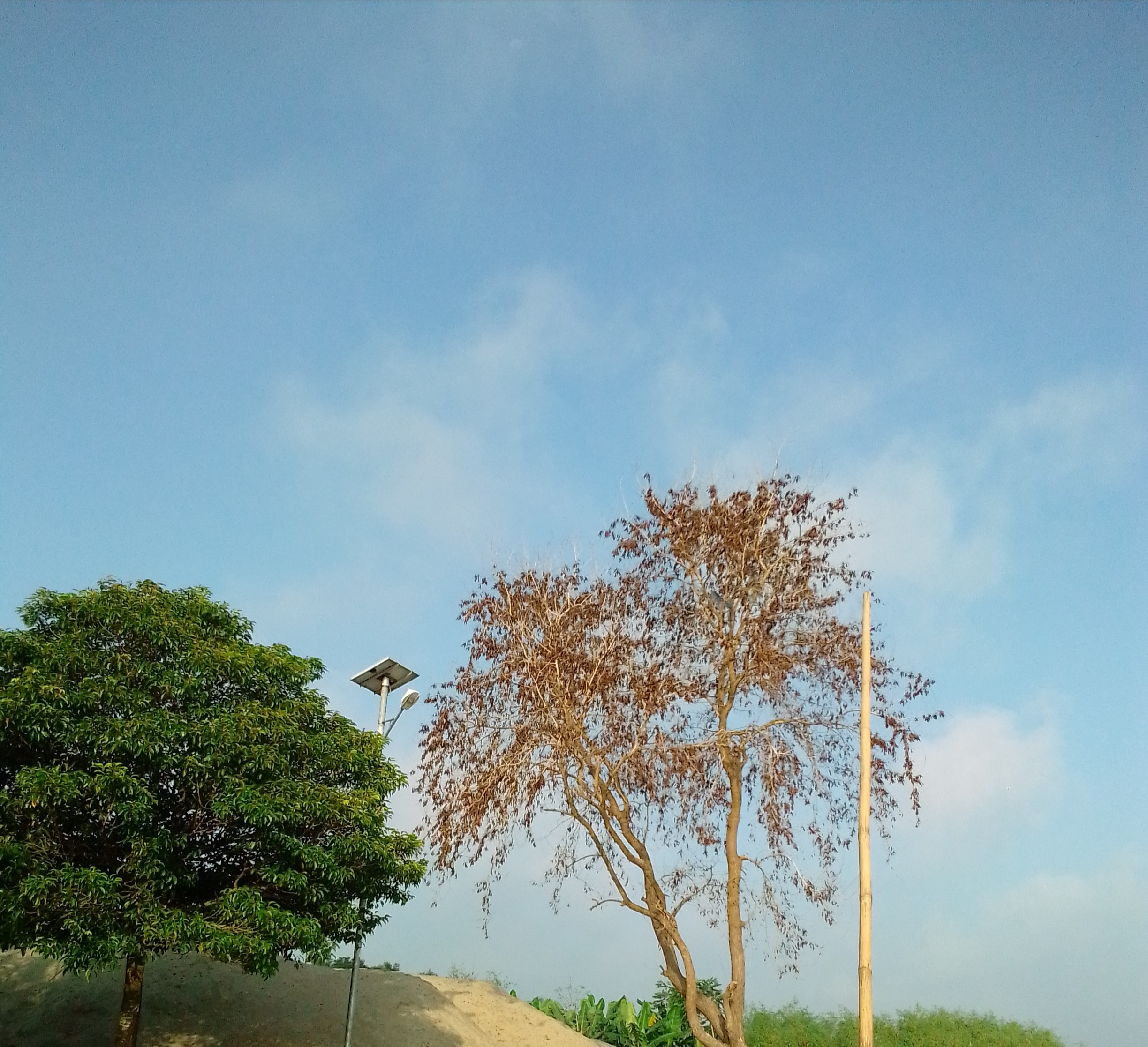 IMG_20201010_123717_275.jpg