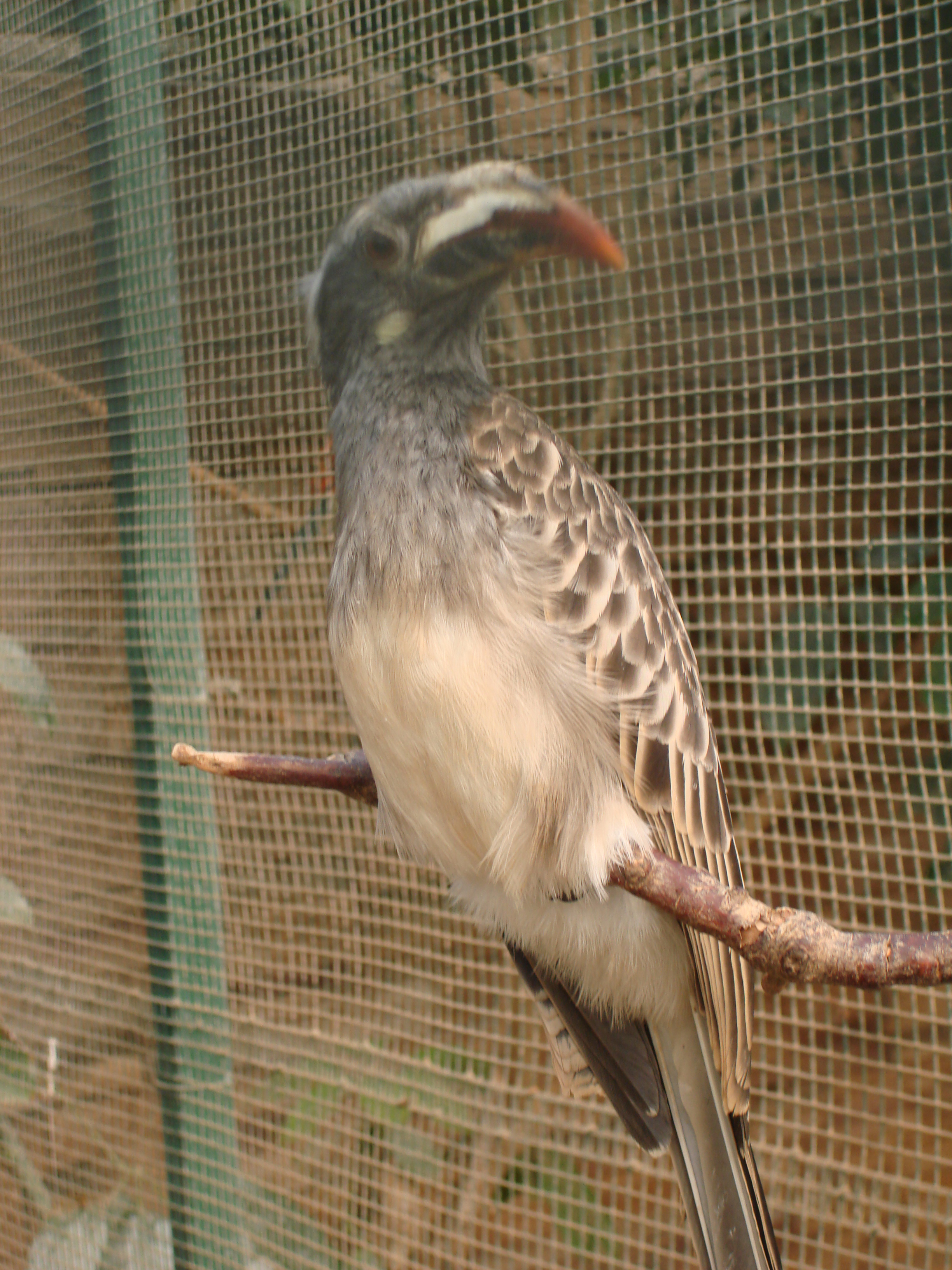 DSC03144.JPG