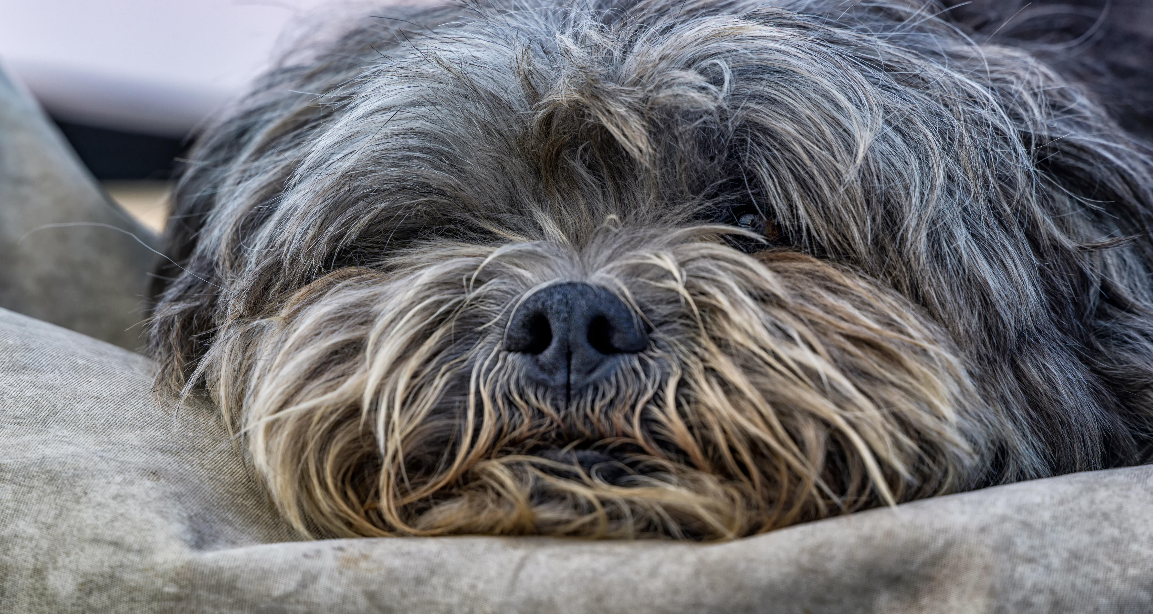 _DSC5272_stitch.jpg