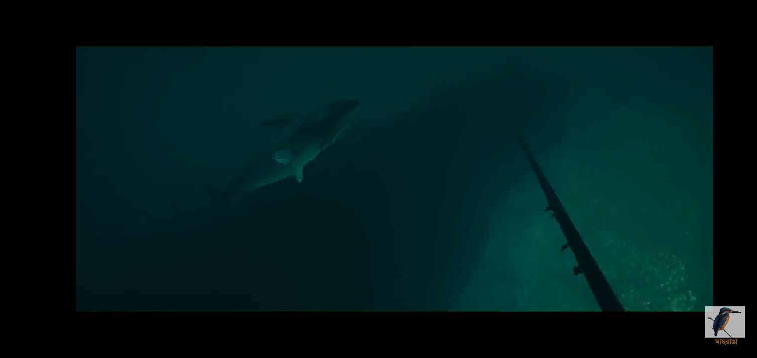 Screenshot_20230511_210143.jpg