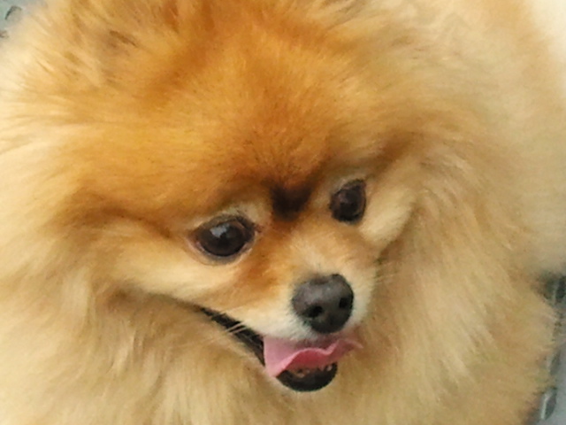 2011-10-16 11.43.48.jpg