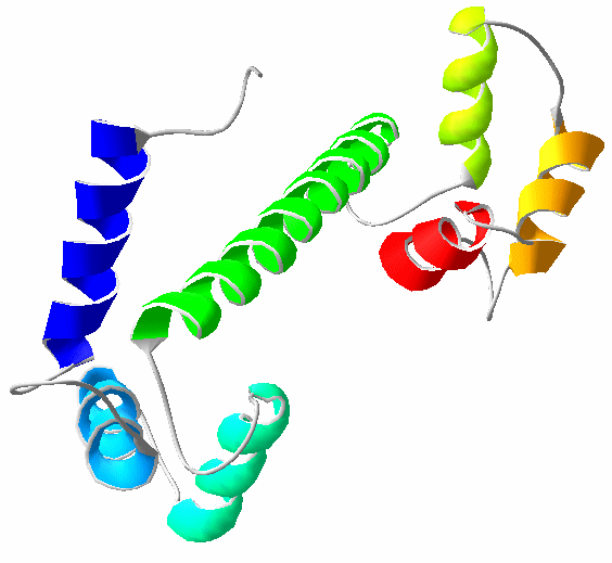 Calmodulin.png
