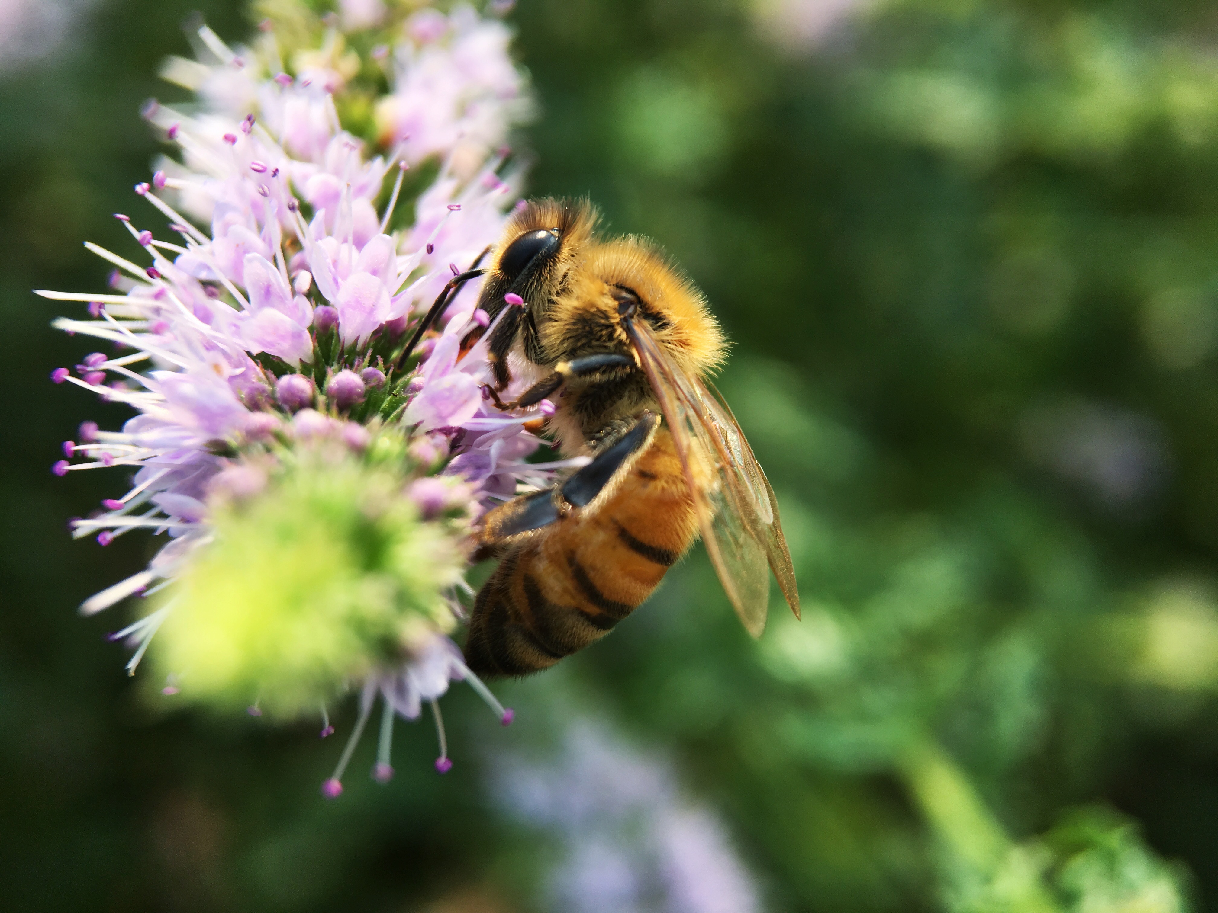 05BA22FD-5742-46FA-98D5-4CCD67073447.jpeg
