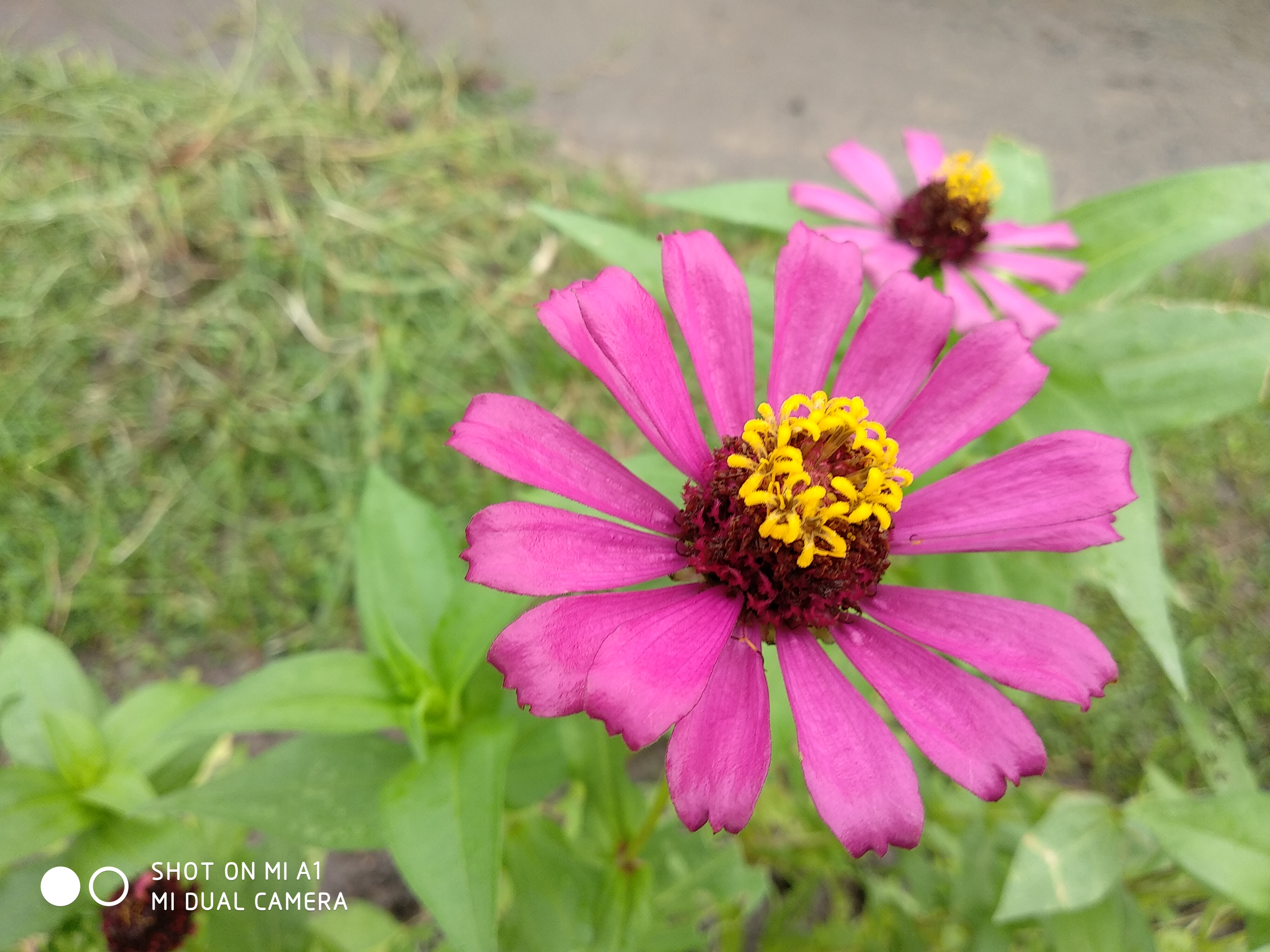 IMG_20180824_155441.jpg