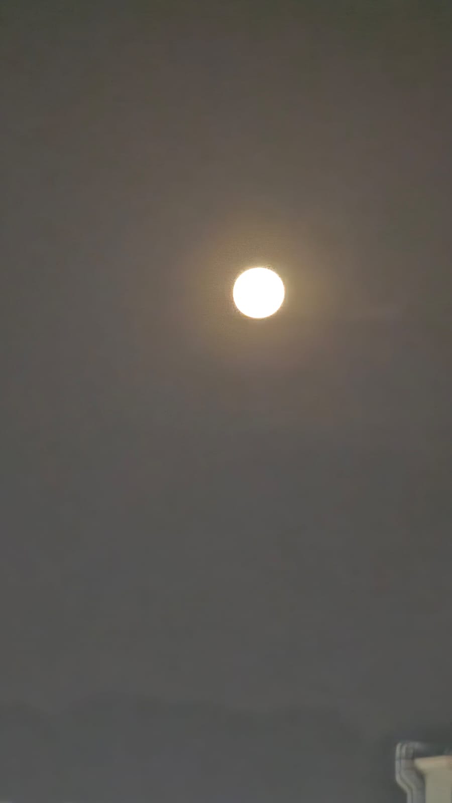 IMG-20260730-WA0007.jpg